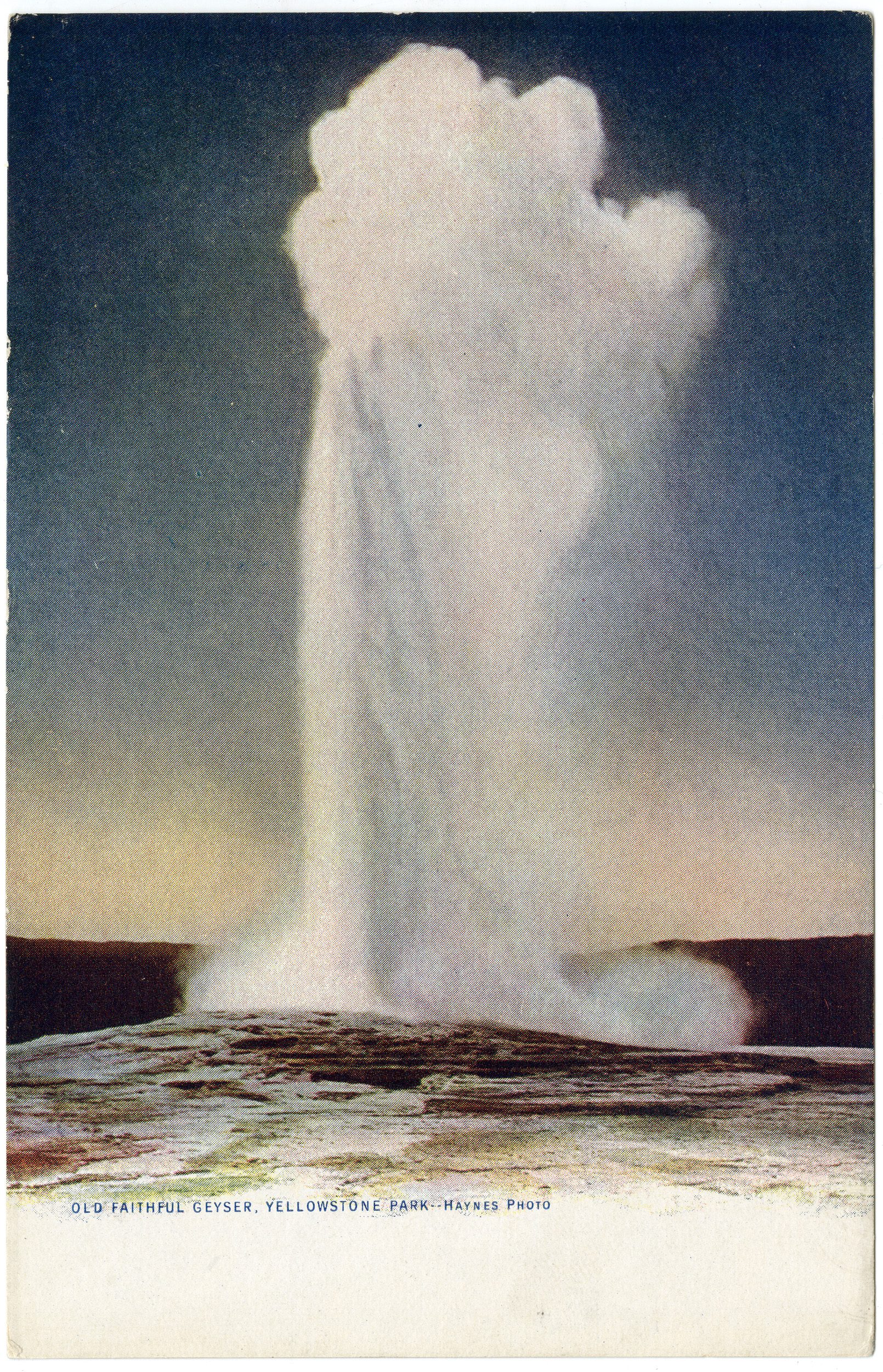 Old Faithful Geyser, Yellowstone Park (Postcard)