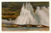 No. 117 - Fountain Geyser - Yellowstone Park (Postcard)
