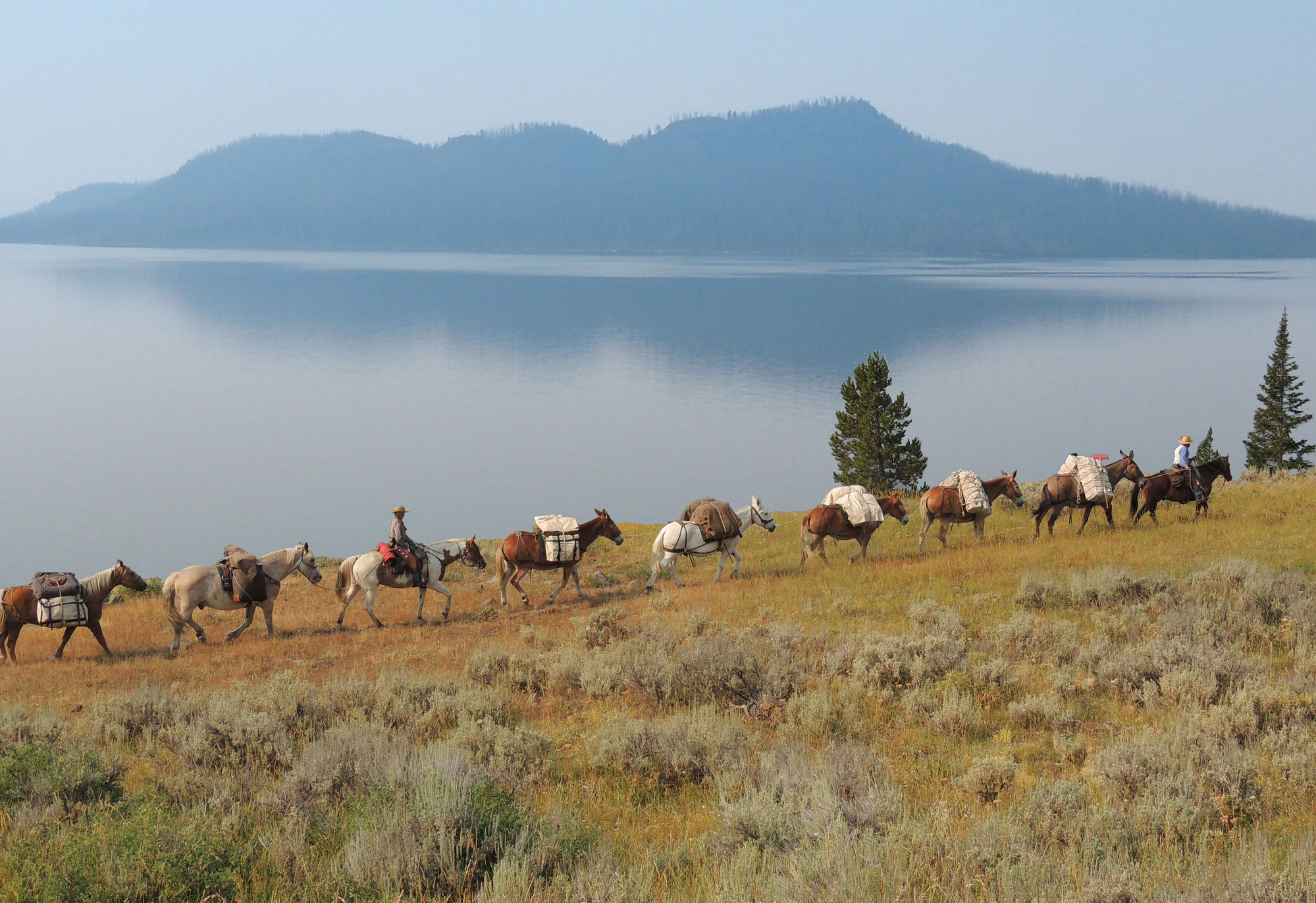 A pack string follows a trail along the east side of Yellowstone Lake