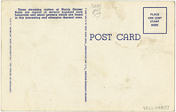 37033G - Norris Geyser Basin, Yellowstone National Park (Postcard)