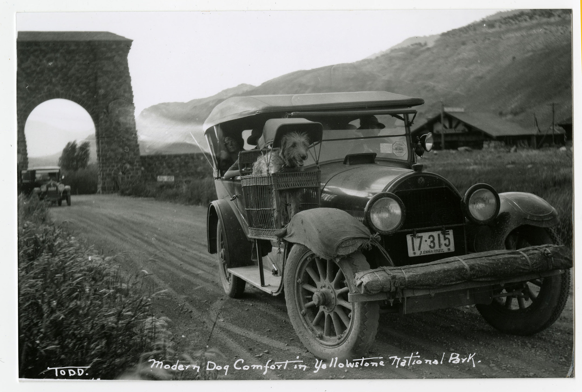Modern Dog Comfort in Yellowstone National Park