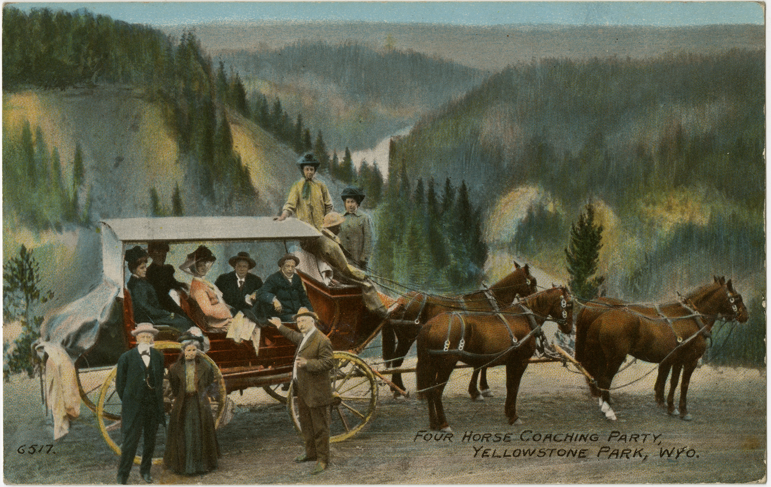 Four Horse Coaching Party / Yellowstone Park, Wyo. (Postcard)