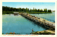 28372. Fishing Bridge, Yellowstone Lake Outlet, Yellowstone Park (Postcard