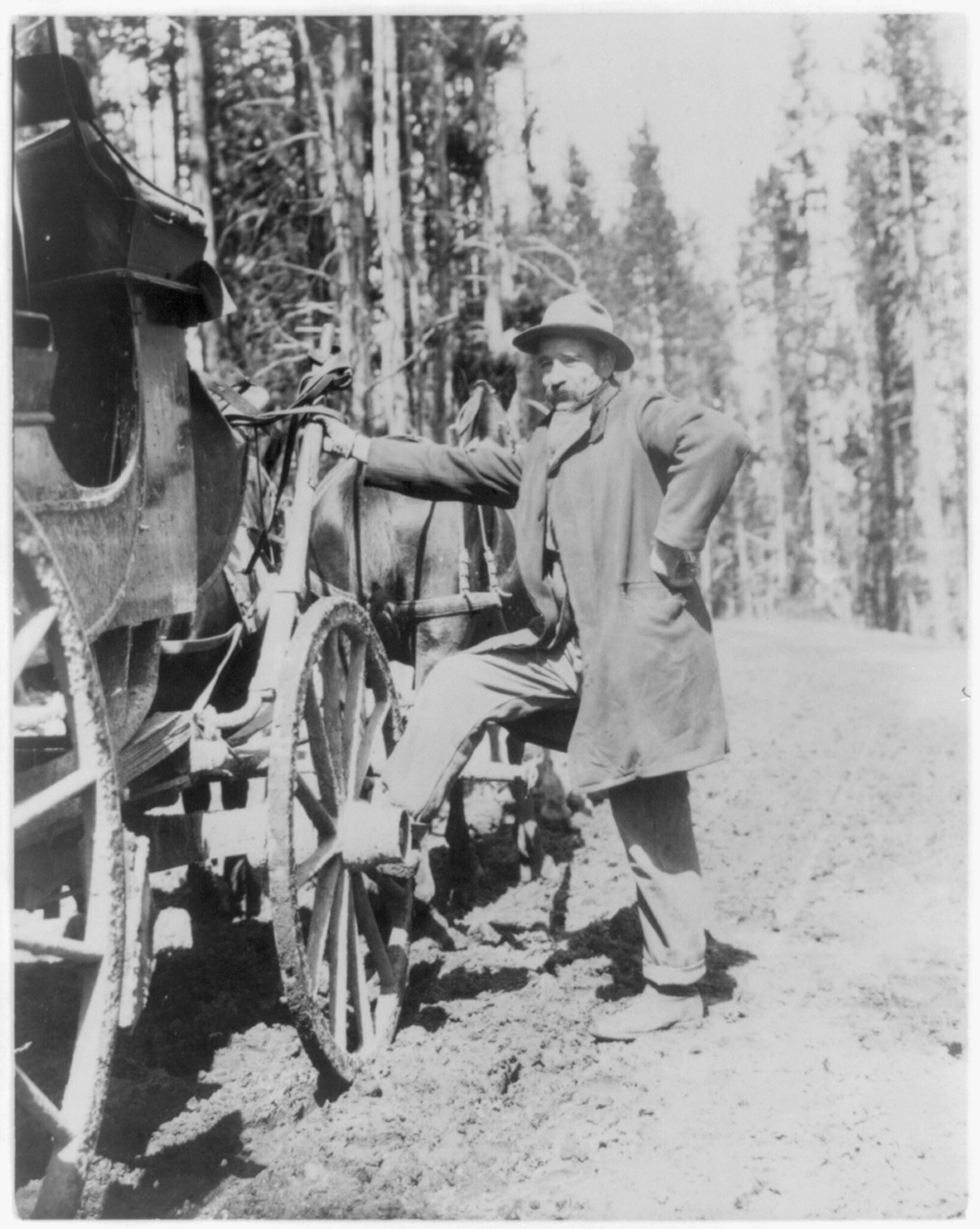 (Joe Knowles, our driver; an artist w. the lines, Yellowstone Natl. Park)