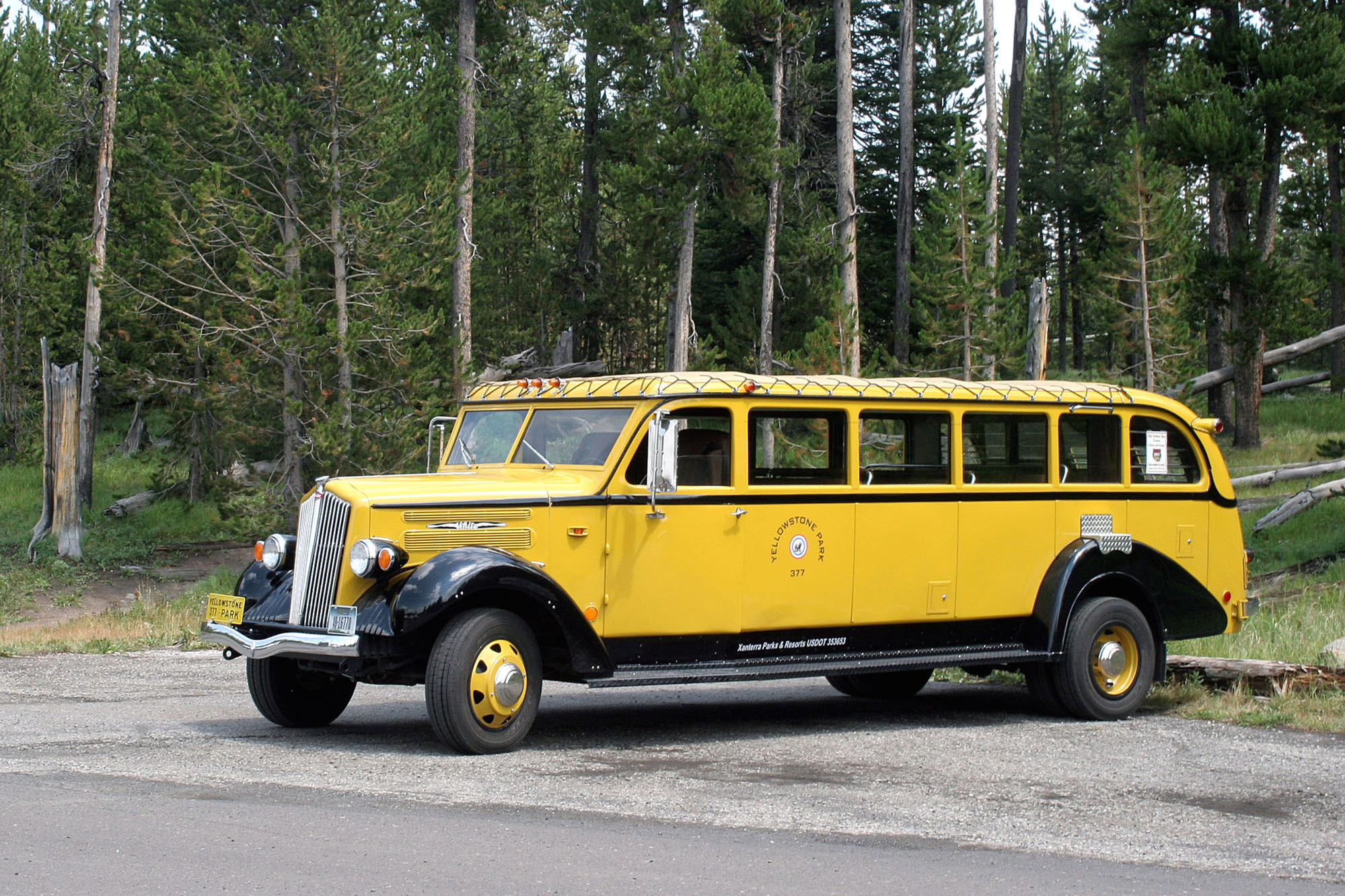 Yellow Bus