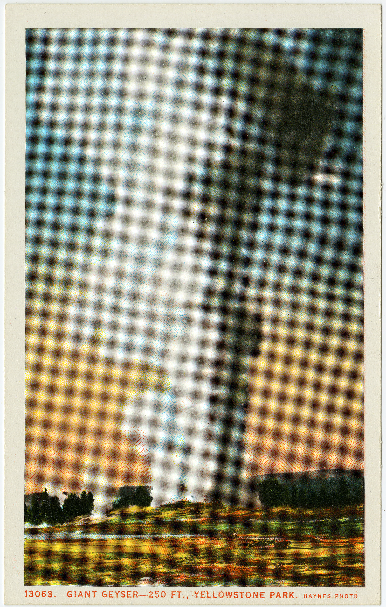 13063. Giant Geyser- 250 FT., Yellowstone Park (Postcard)