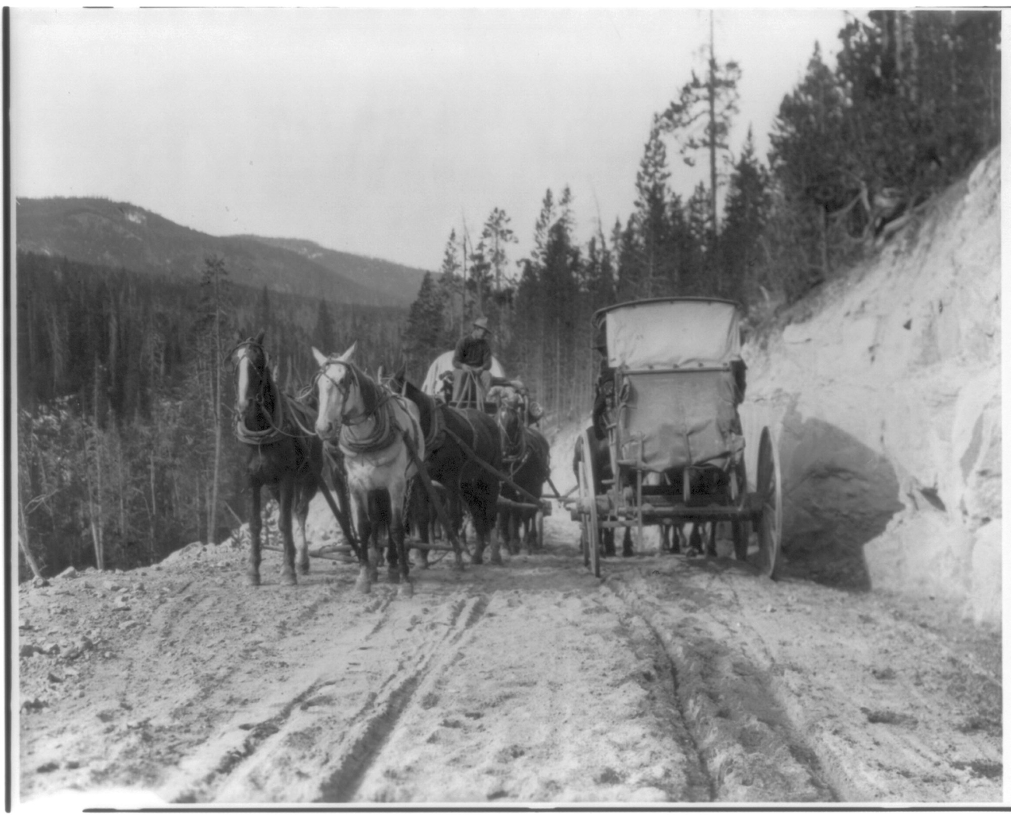 (Wyo. - Yellowstone National Park: two stagecoaches passing on mt. road)