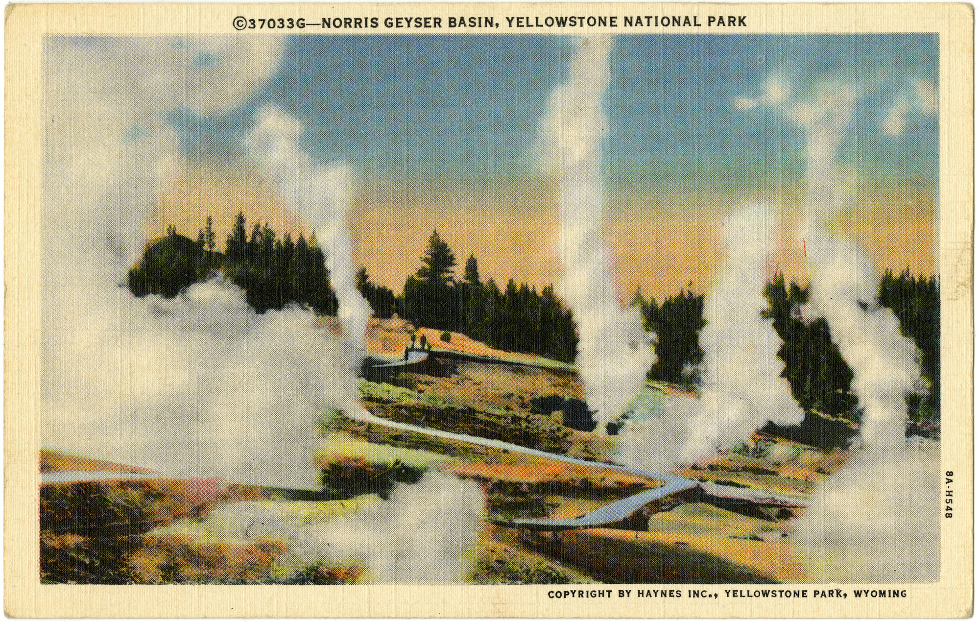 37033G - Norris Geyser Basin, Yellowstone National Park (Postcard)