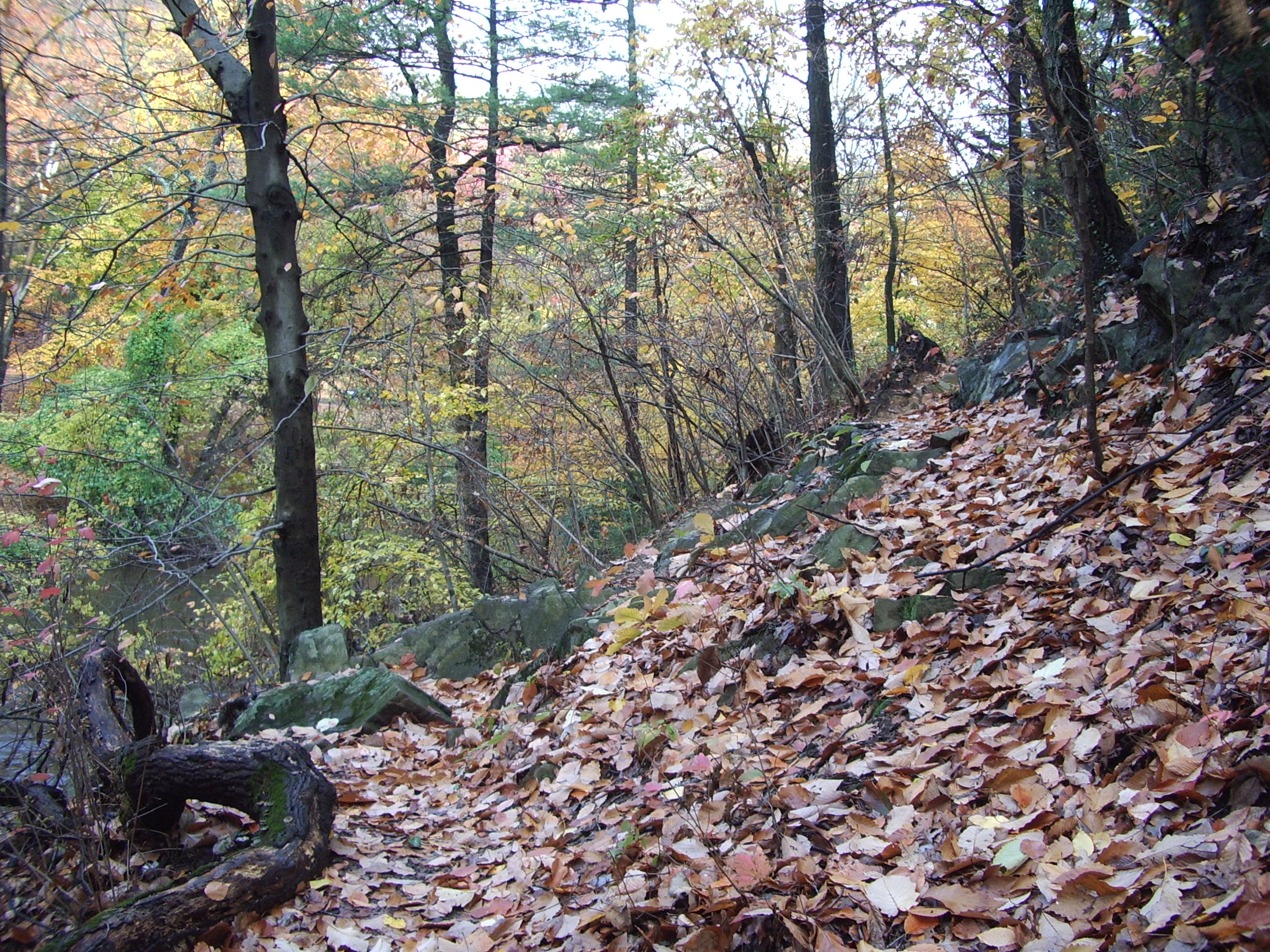 Steep slopes over Rock Creek
