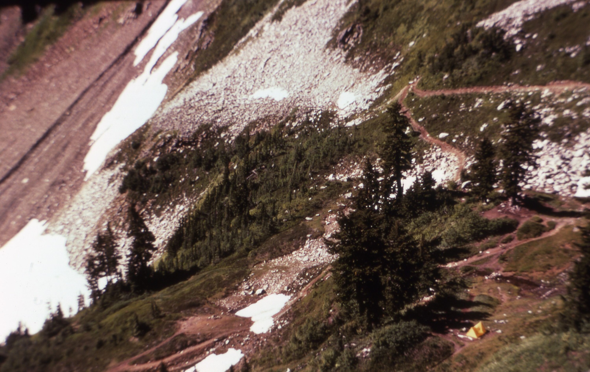 Grassy and rocky mountain slopes studded in trees and shrubs. Trails cut through the landscape.