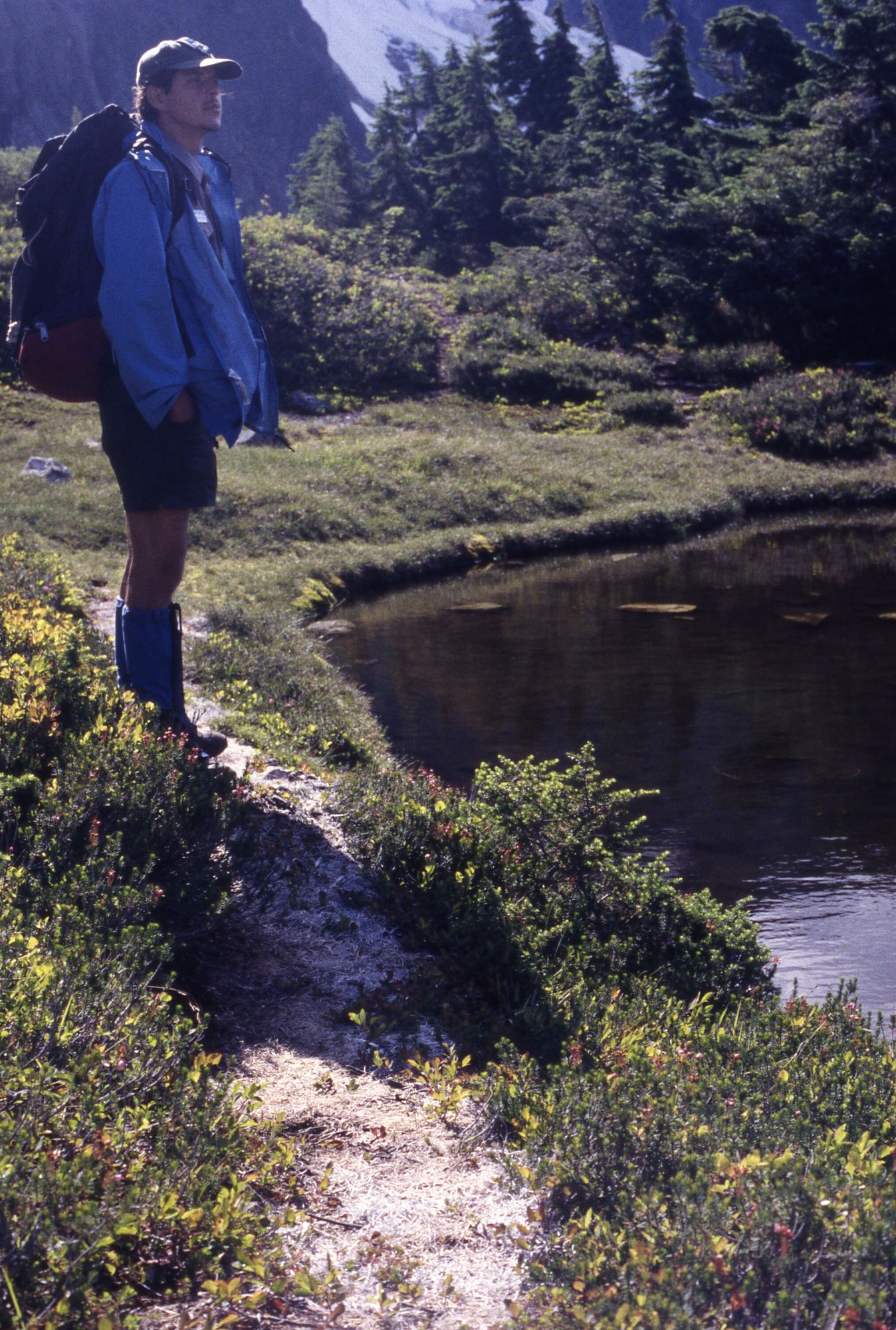 A social trail next to a pond covered in curly mulch leading to a grassy knoll bordered by trees, shrubs, and wildflowers. A hiker is standing on the trail.