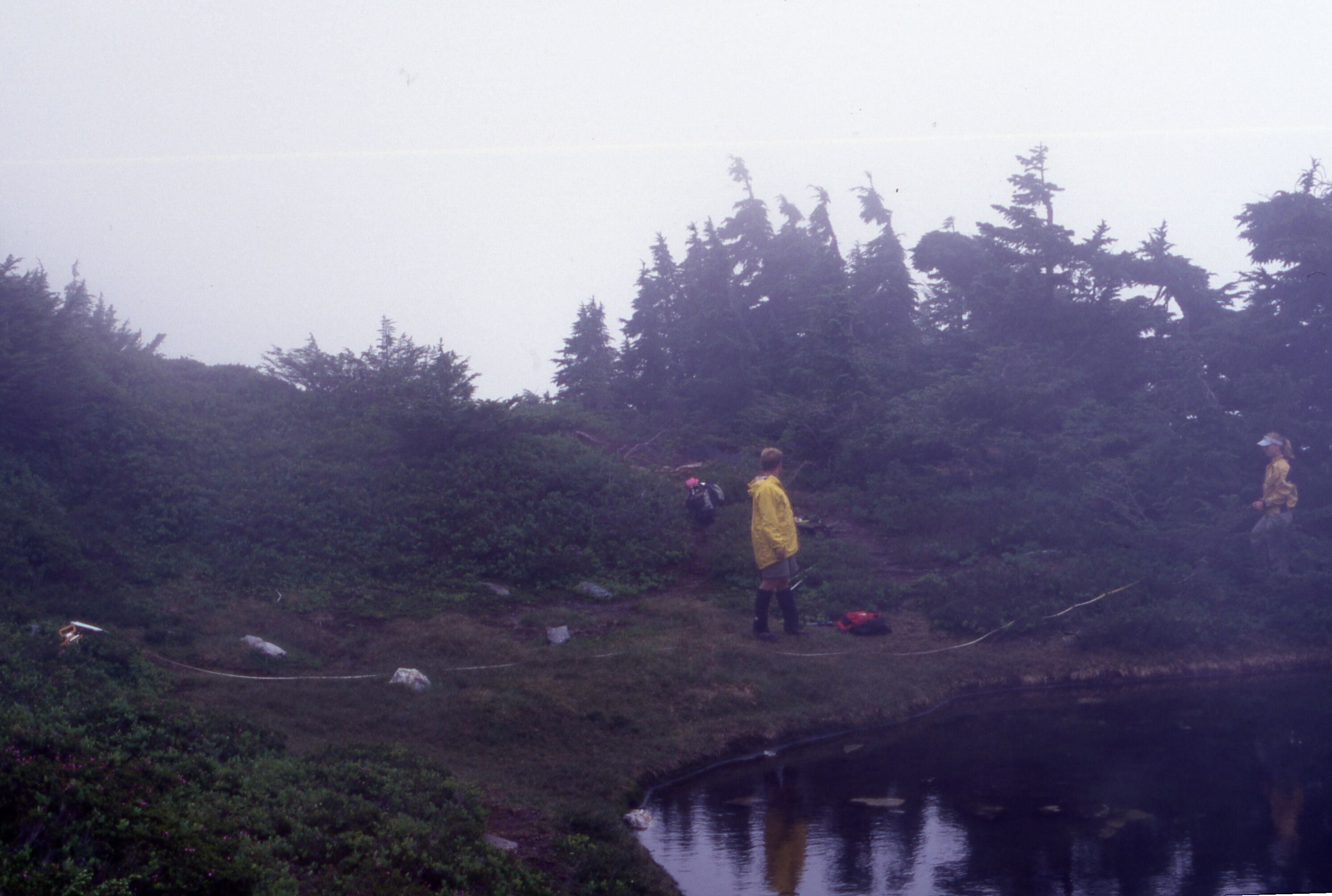 Two revegetation program workers with backpacks and other gear studying a large patchy area of grass bordered by trees and shrubs next to a pond. One worker holds one end of a long strip of tape across the patchy area.