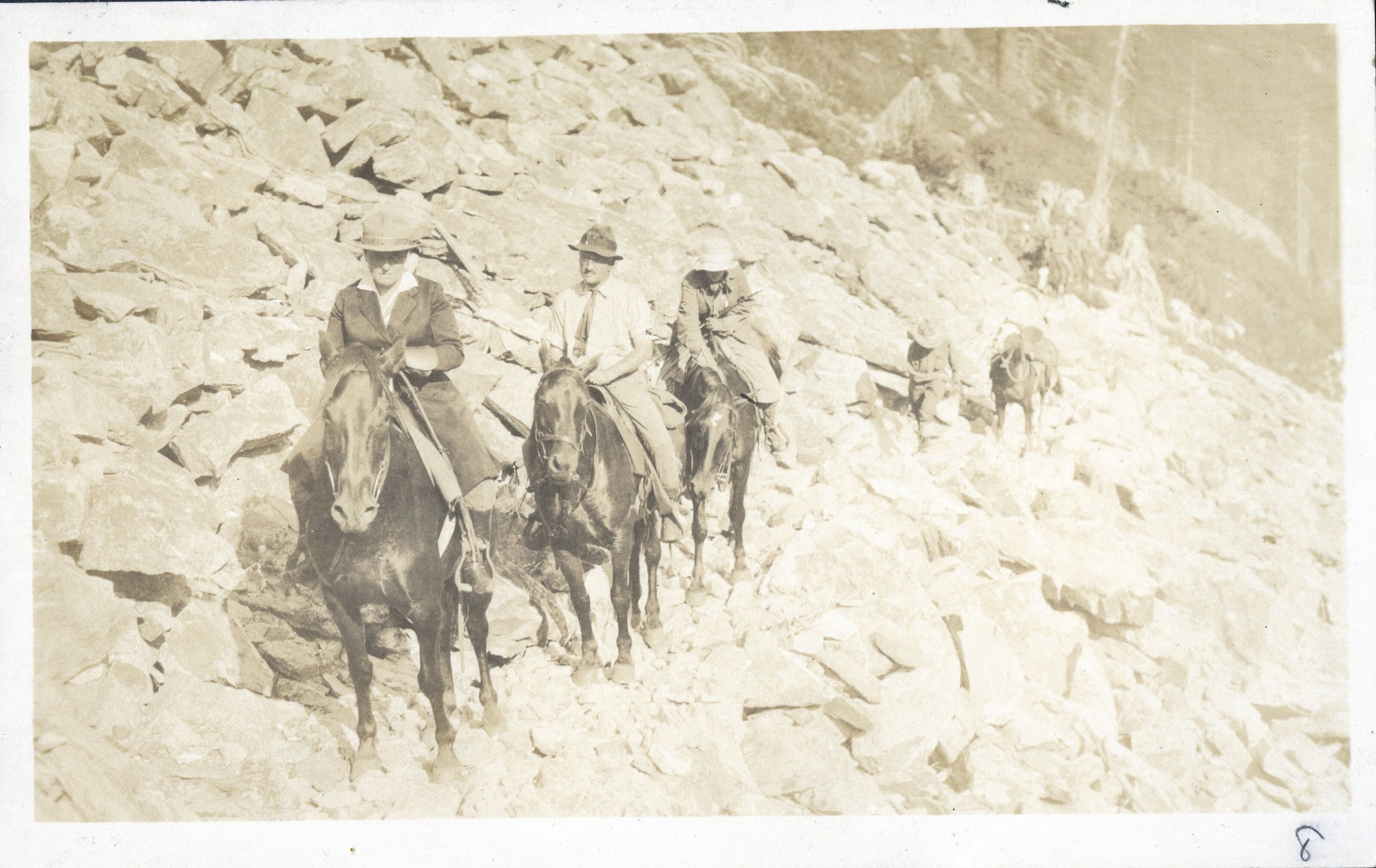 Silhouetted conifers in front of glaciated ridges and a jagged peak.