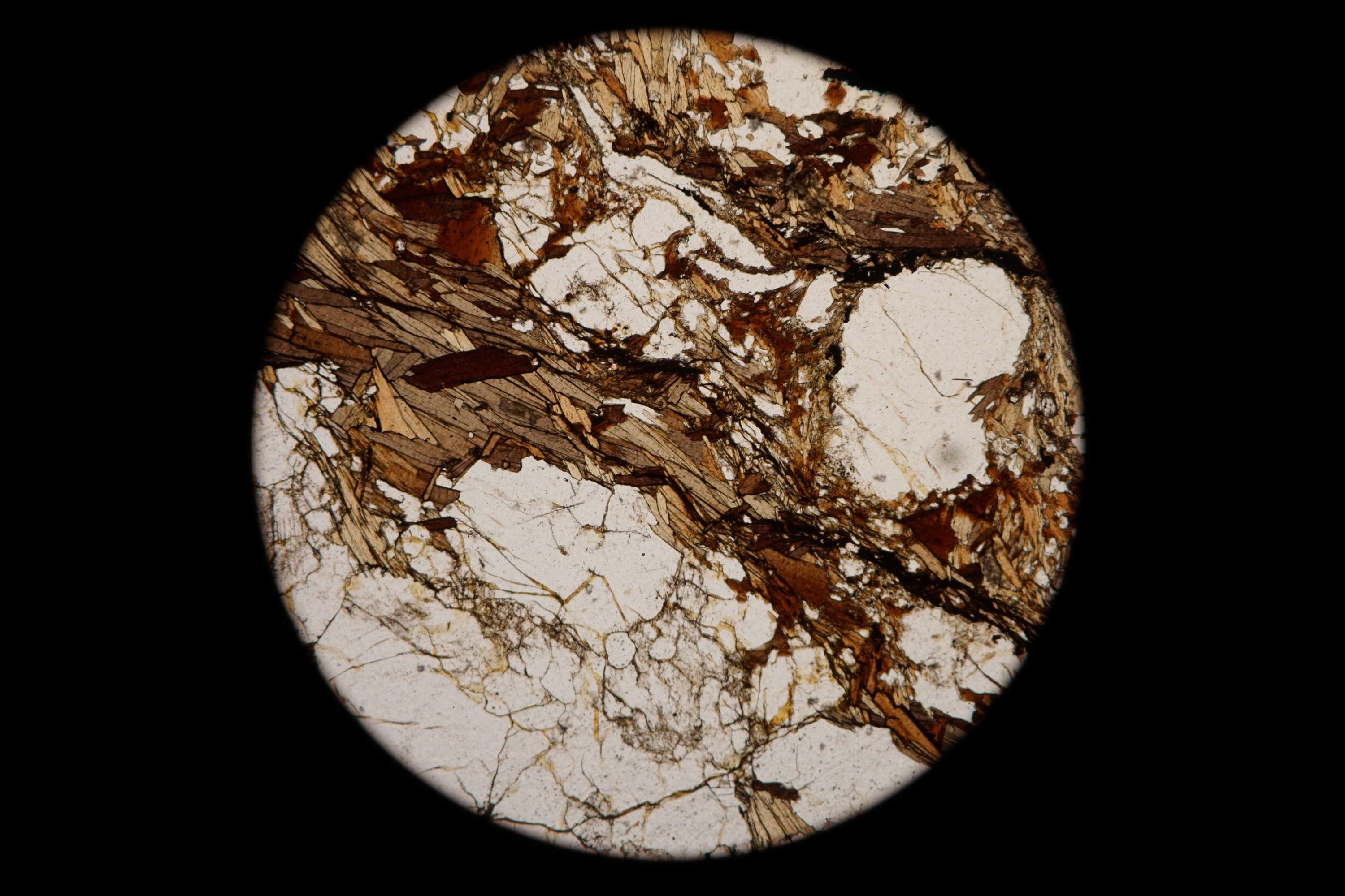 Circular microscopic image of rock structure.