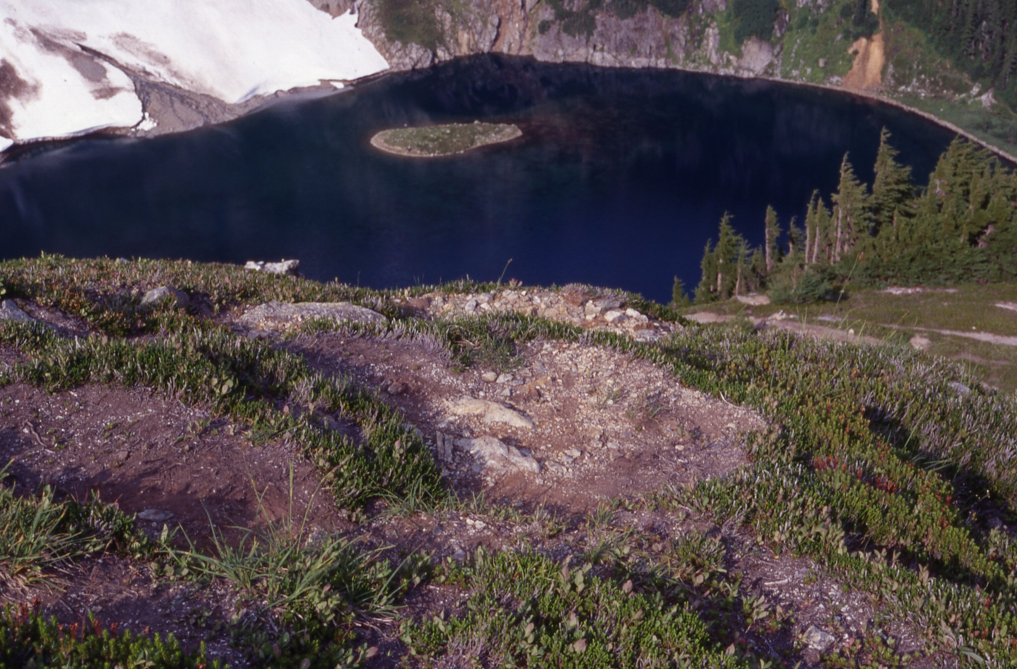 A patchy hillside of wildflowers, grasses, and rocks. Below is a lake at the base of a snowy mountainside with a small island in the middle.