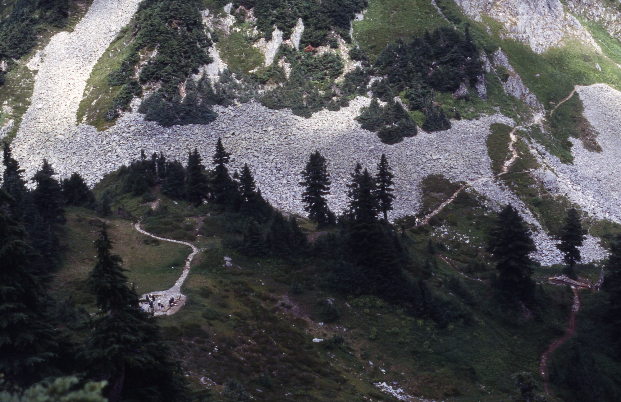 A landscape view down a slope of gentle grassy hills with shrubs, wildflowers, and trees. In the middle is a meadow with a rest area and trails leading away from it. Some visitors are in the rest area. At the bottom is a pit of stones which is cut through by a trail across a rocky mountain slope.