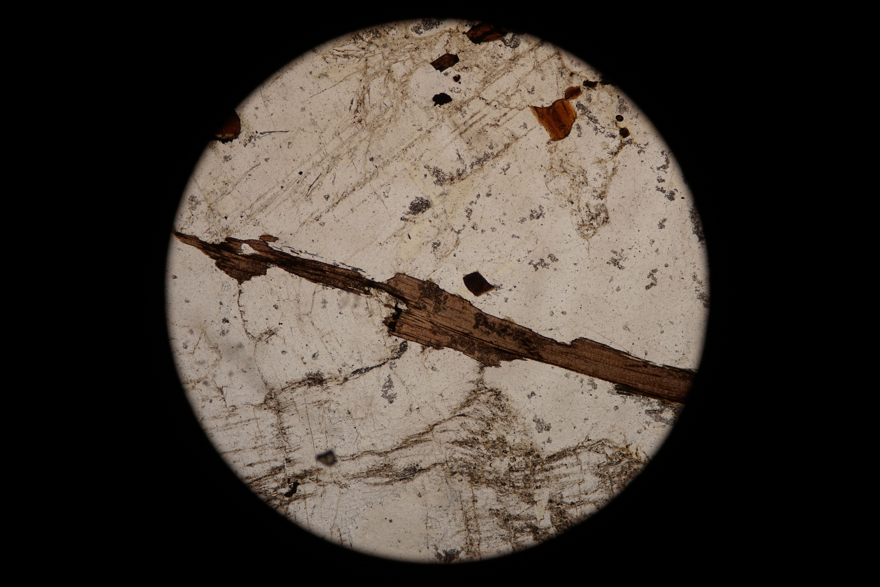 Circular microscopic image of rock structure.