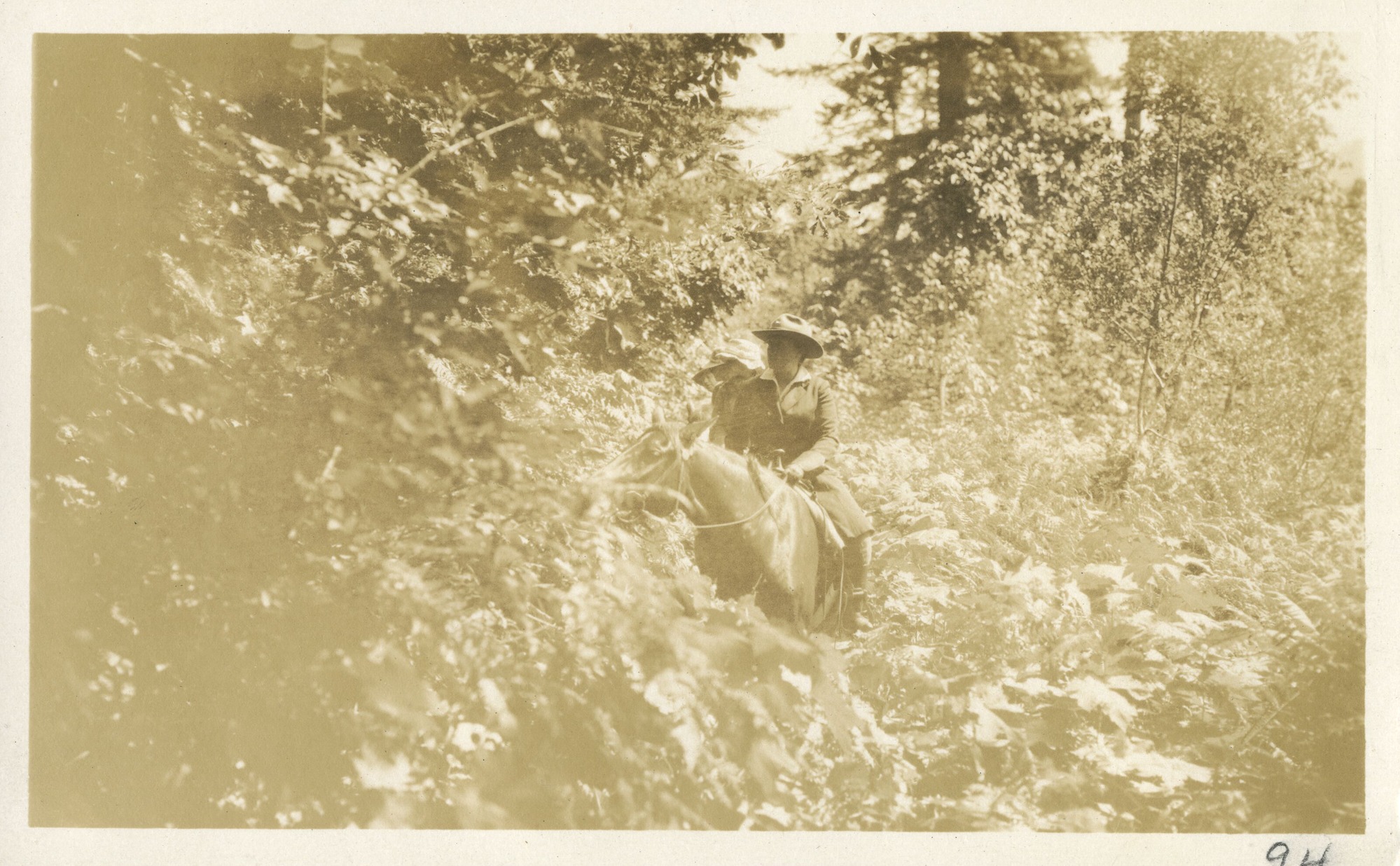 Mary Roberts Rinehart on horseback leading riders through brushy forest.