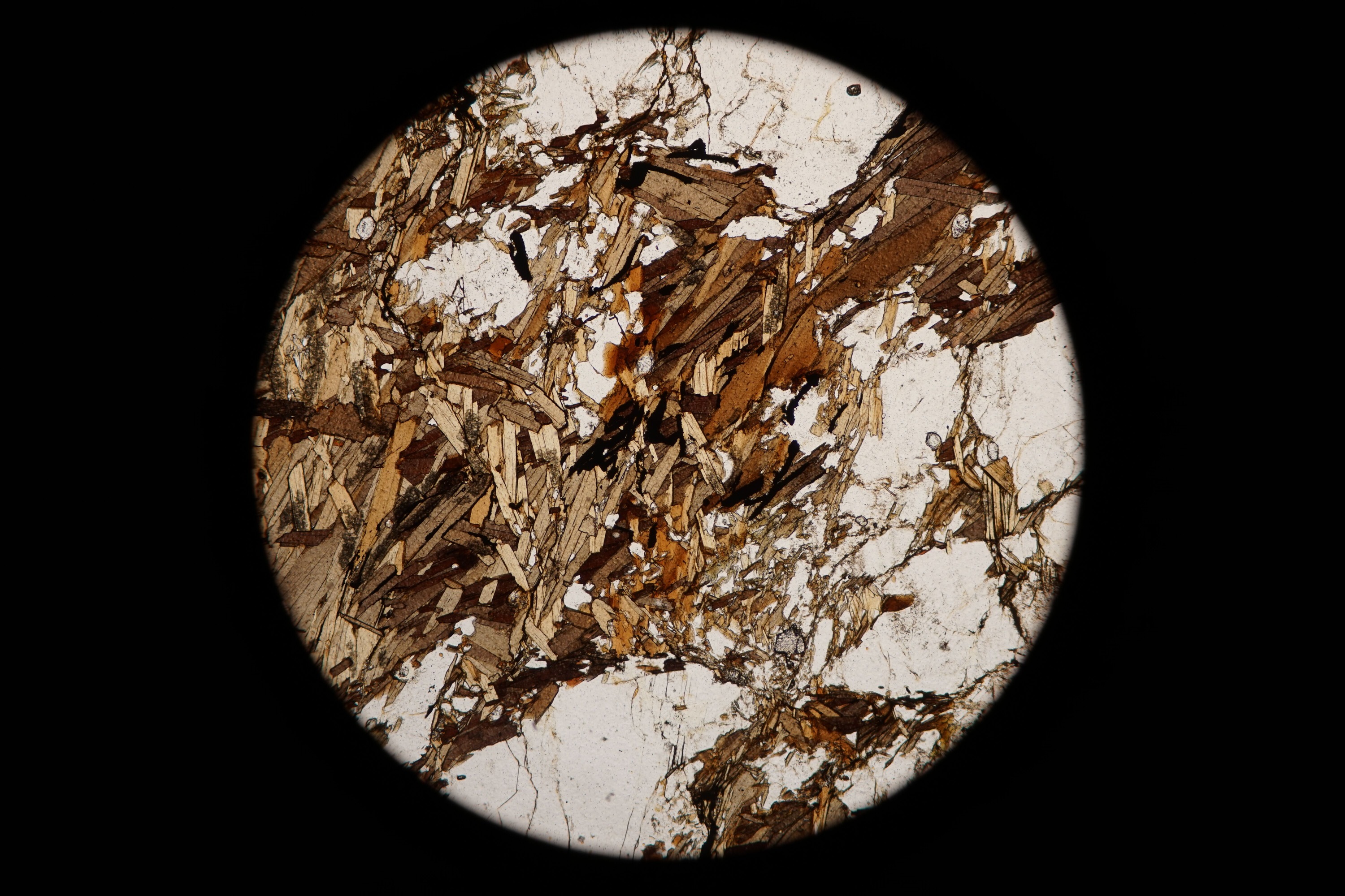 Circular microscopic image of rock structure.