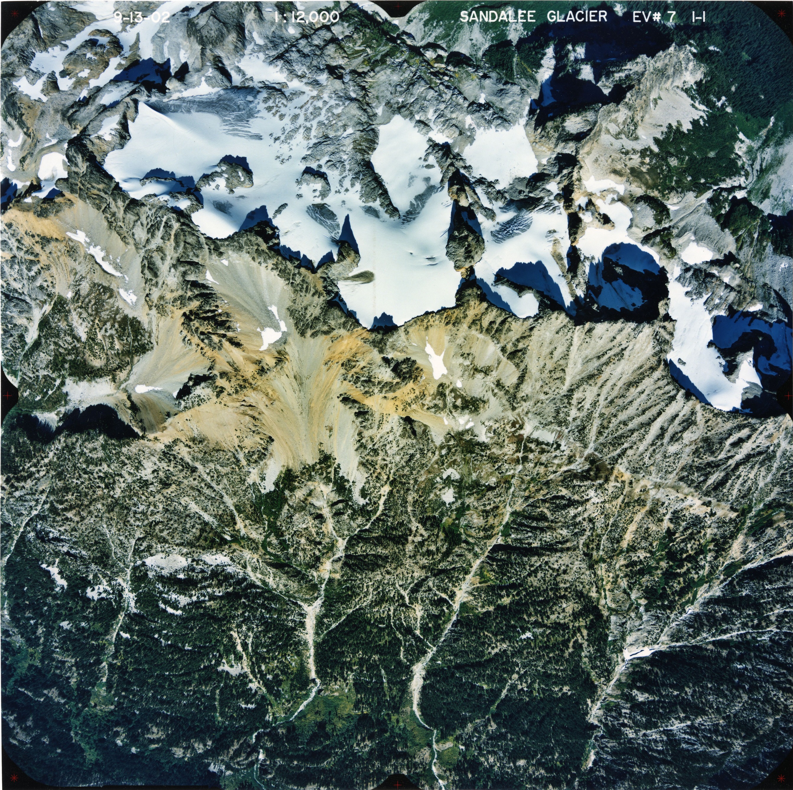 Color aerial photograph of glacier and snowfields on mountain peak with forested valleys below.