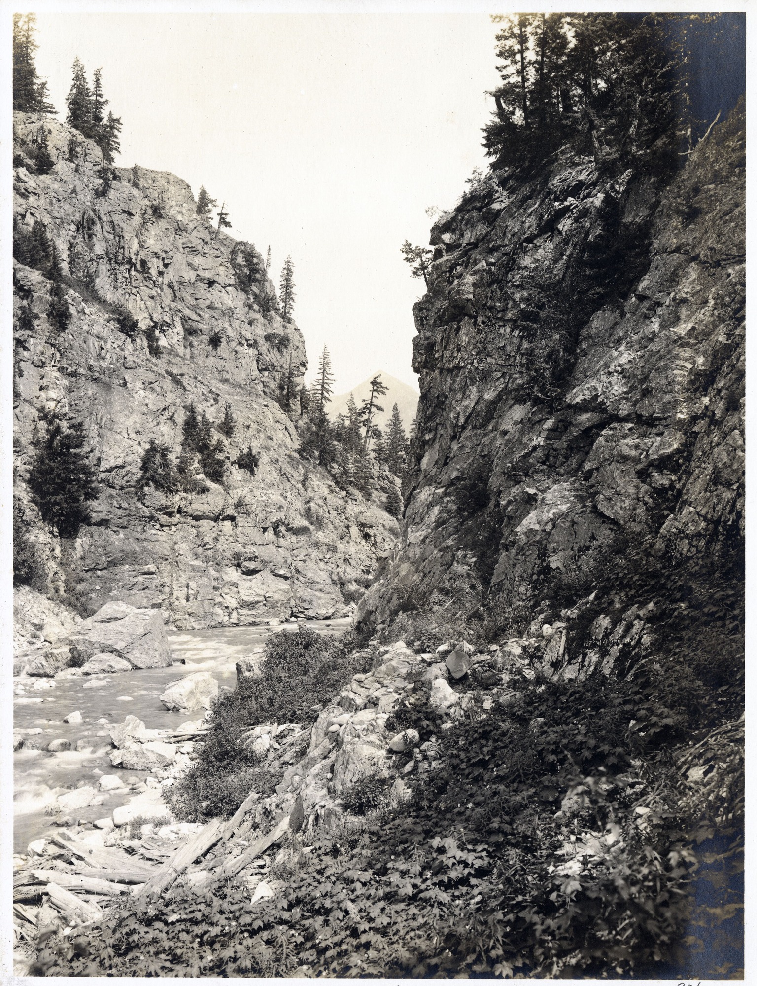 From water's edge, river flowing toward photographer. Steep walled canyon, little forest on rocks, some vegetation in foreground.