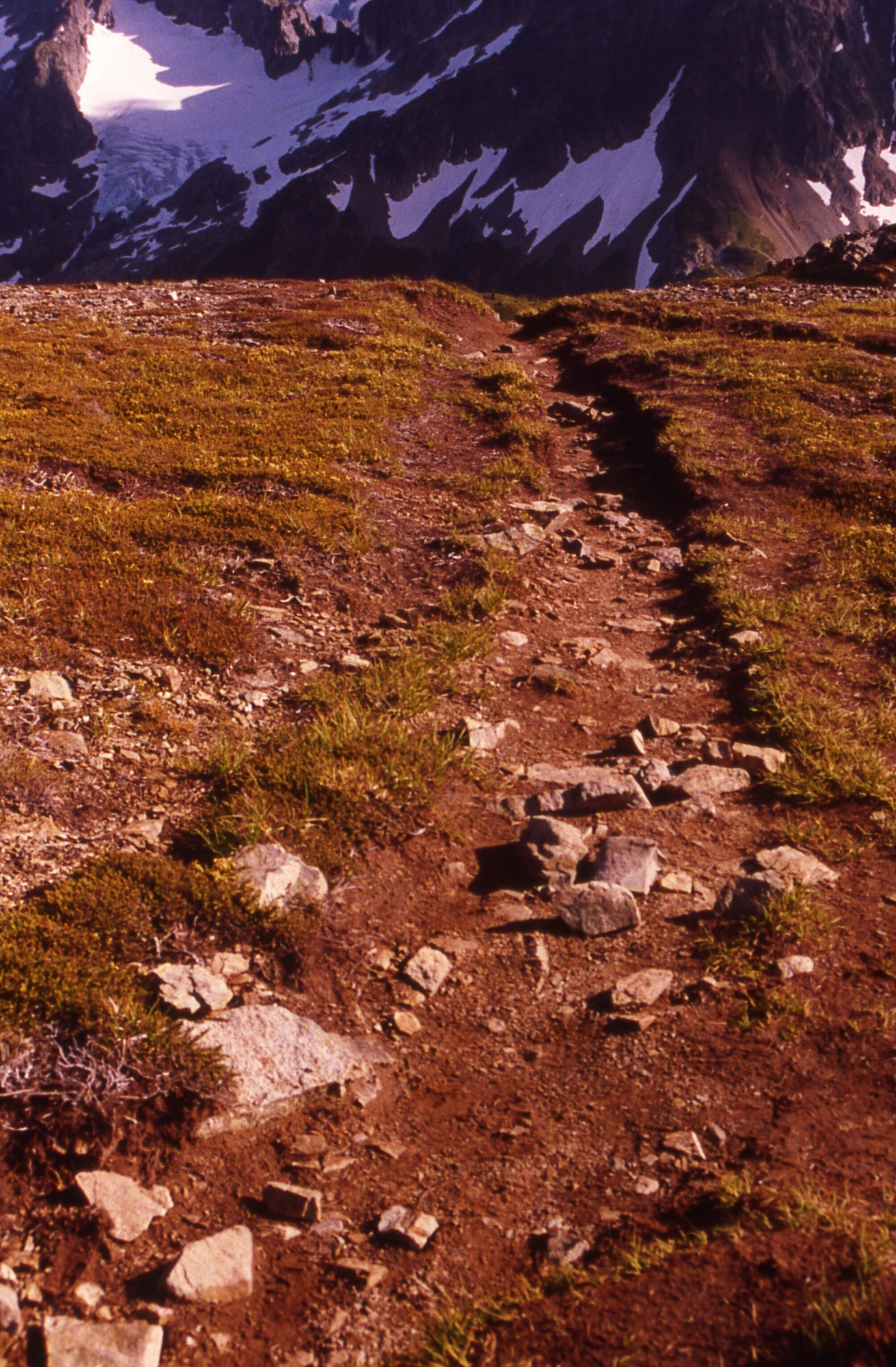 A braided trail cutting through a grassy meadow. In the distance are snowy mountainsides.