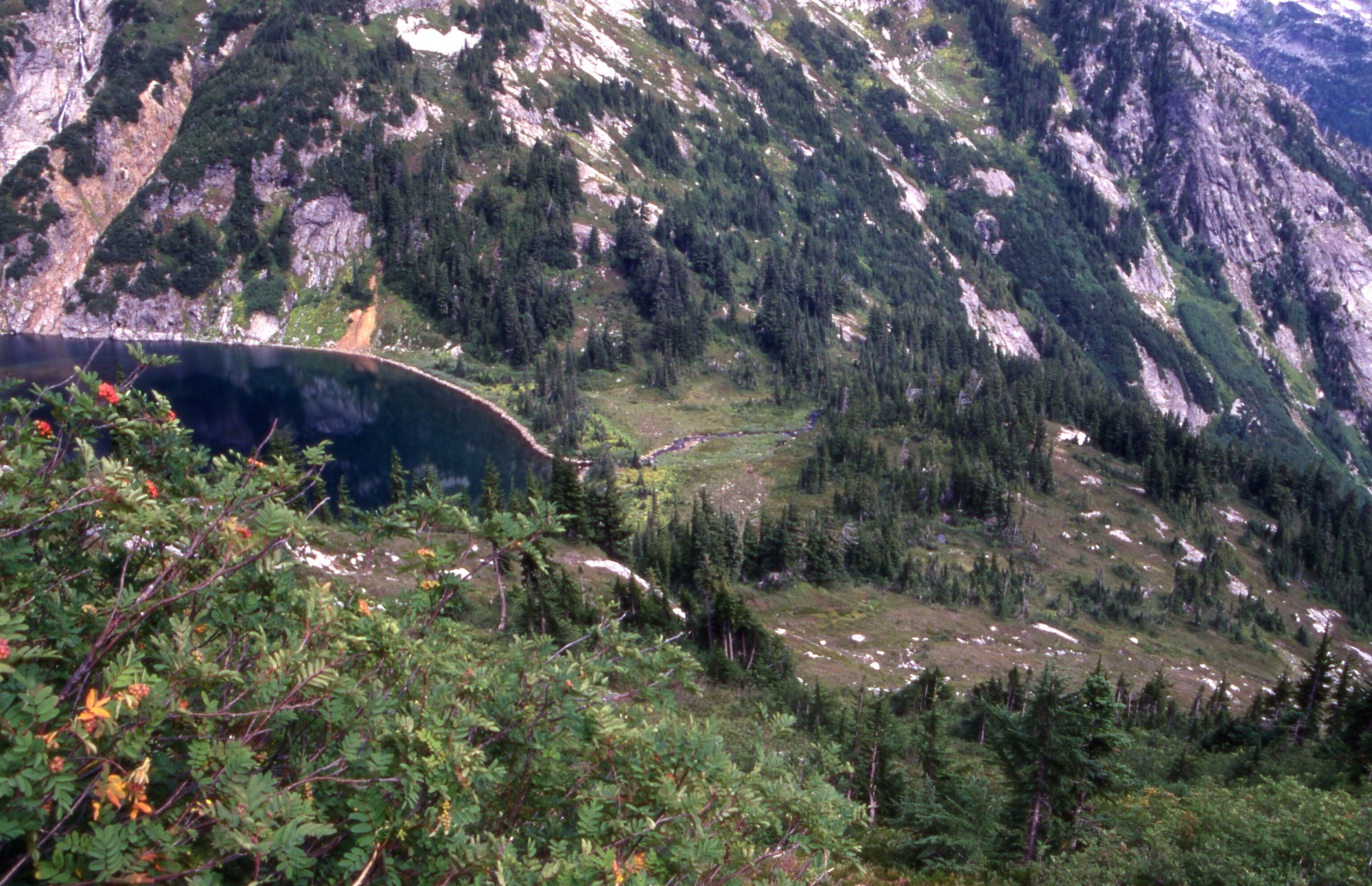 A forested mountainside with a clearing and a pond in the middle left corner of the image