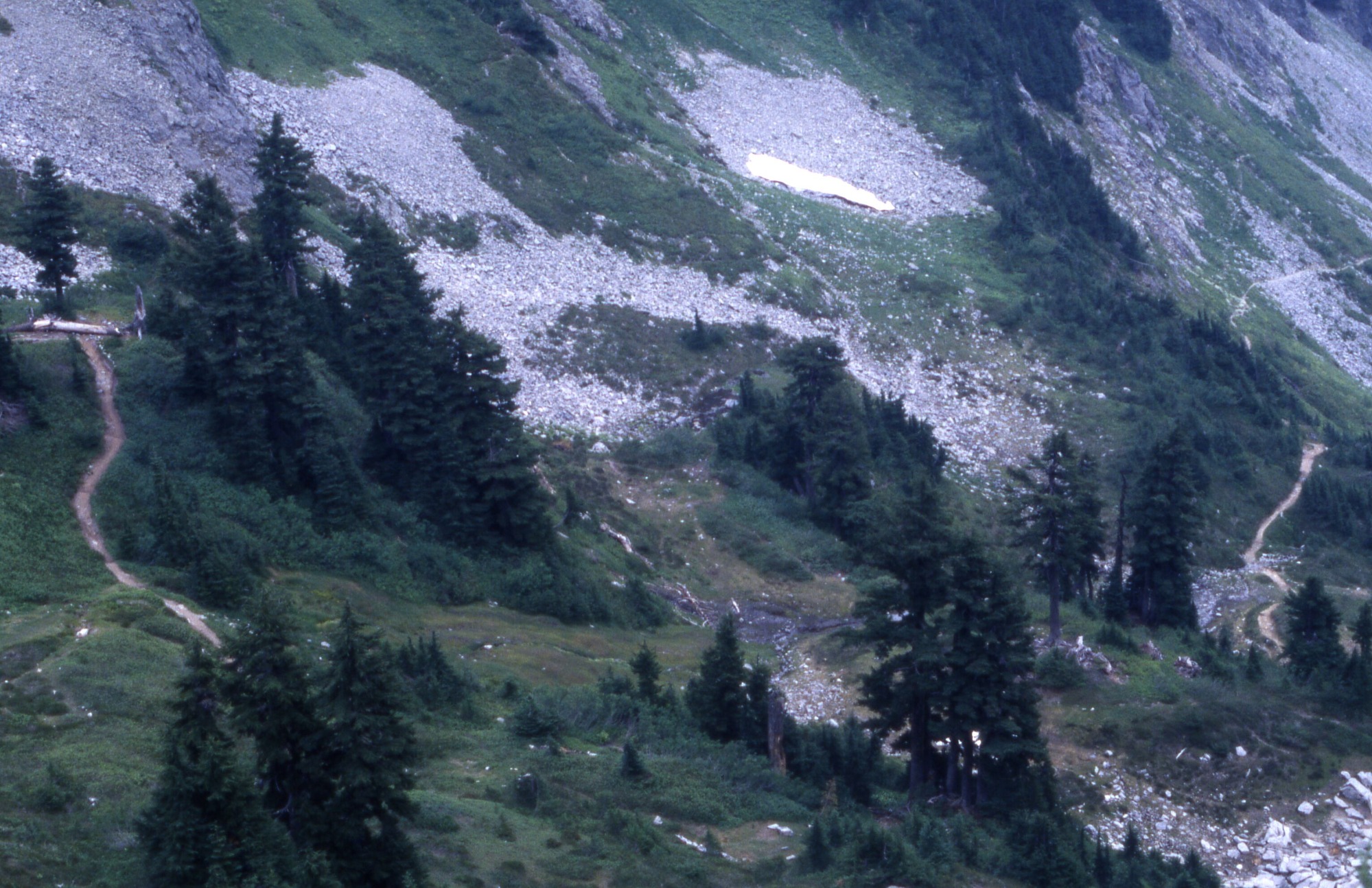 A landscape view of gentle grassy hills with shrubs, wildflowers, and trees and rocky mountain slopes cut through by a trail. At the bottom is a pit of stones which is cut through by a trail.