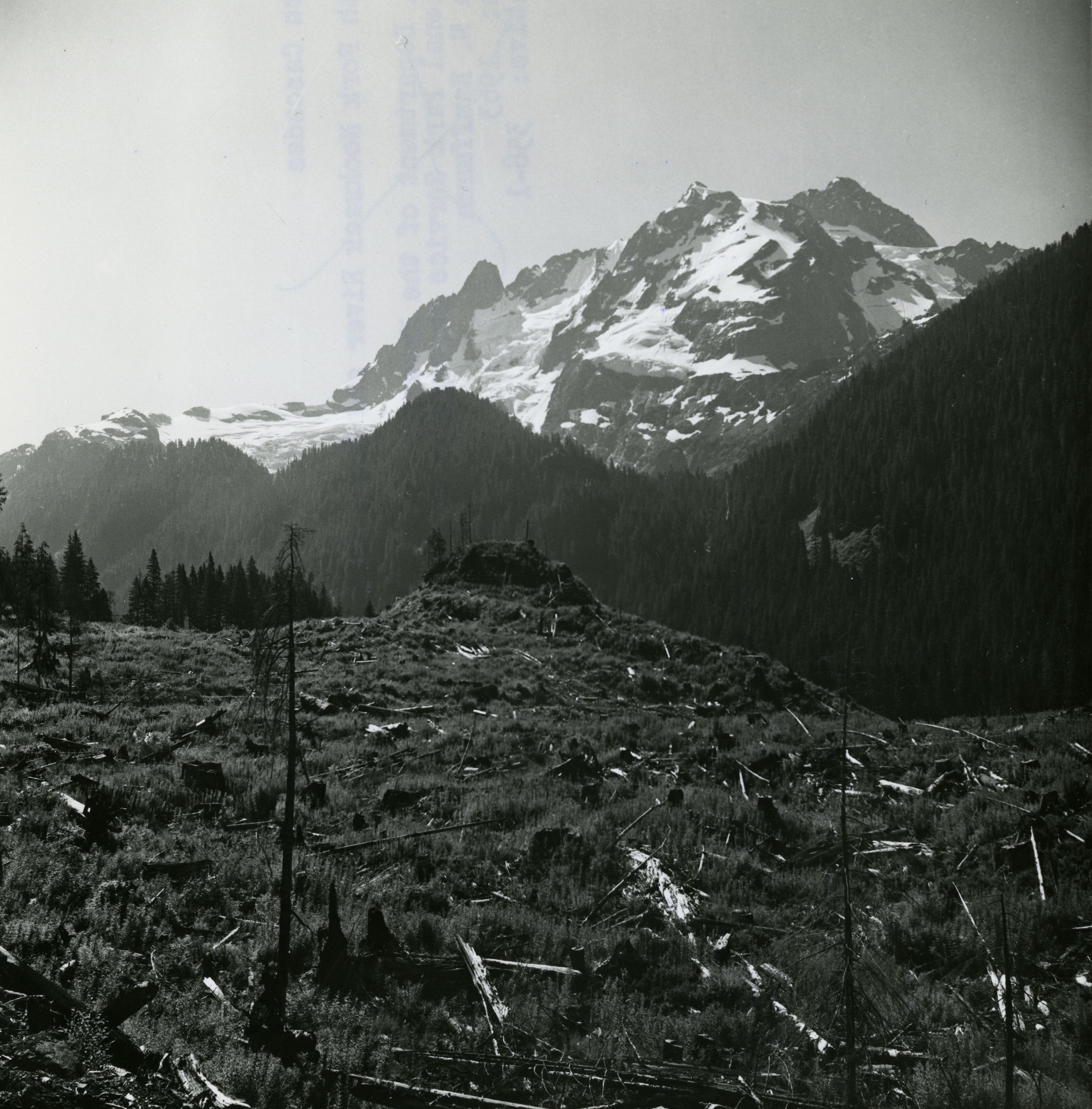A cleared field, with a mountain peak in the background.