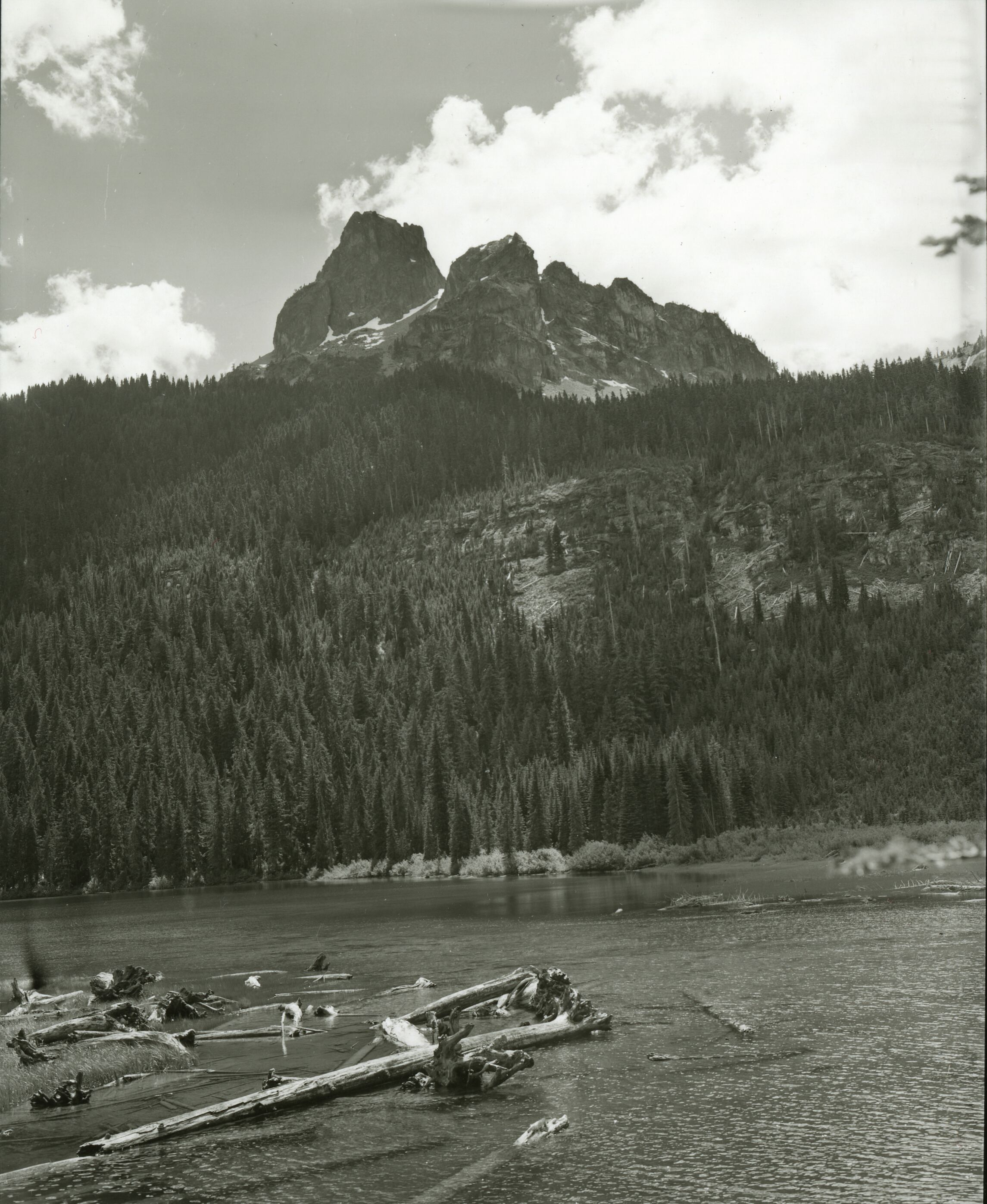 A forested mountain behind a lake. Drift wood can be seen floating in the shallow edges of the lake and a steep mountain peak can be seen in the background.