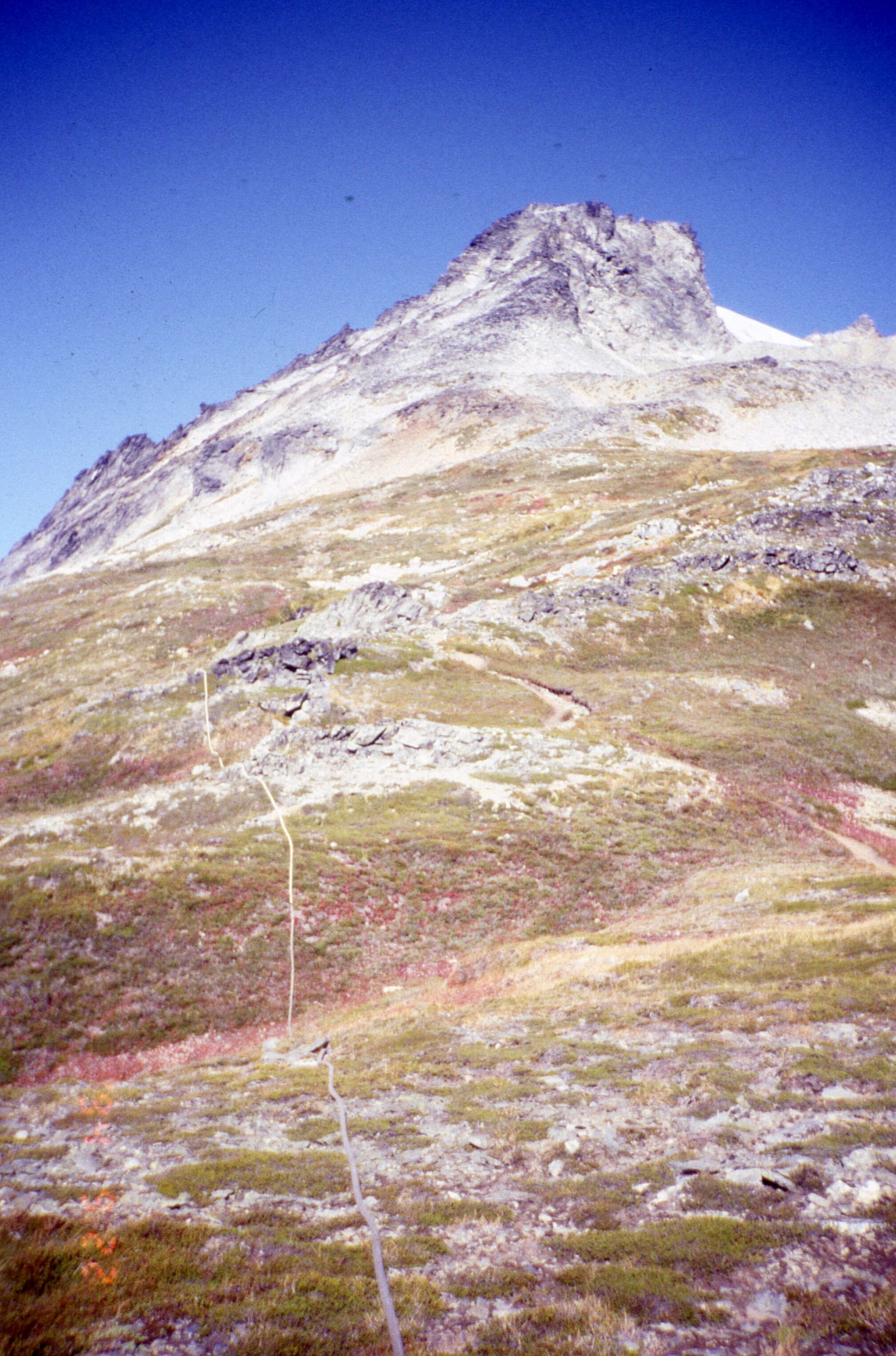 A water hose running down the side of a hill. Above the hill is a snowy mountainside and peak.