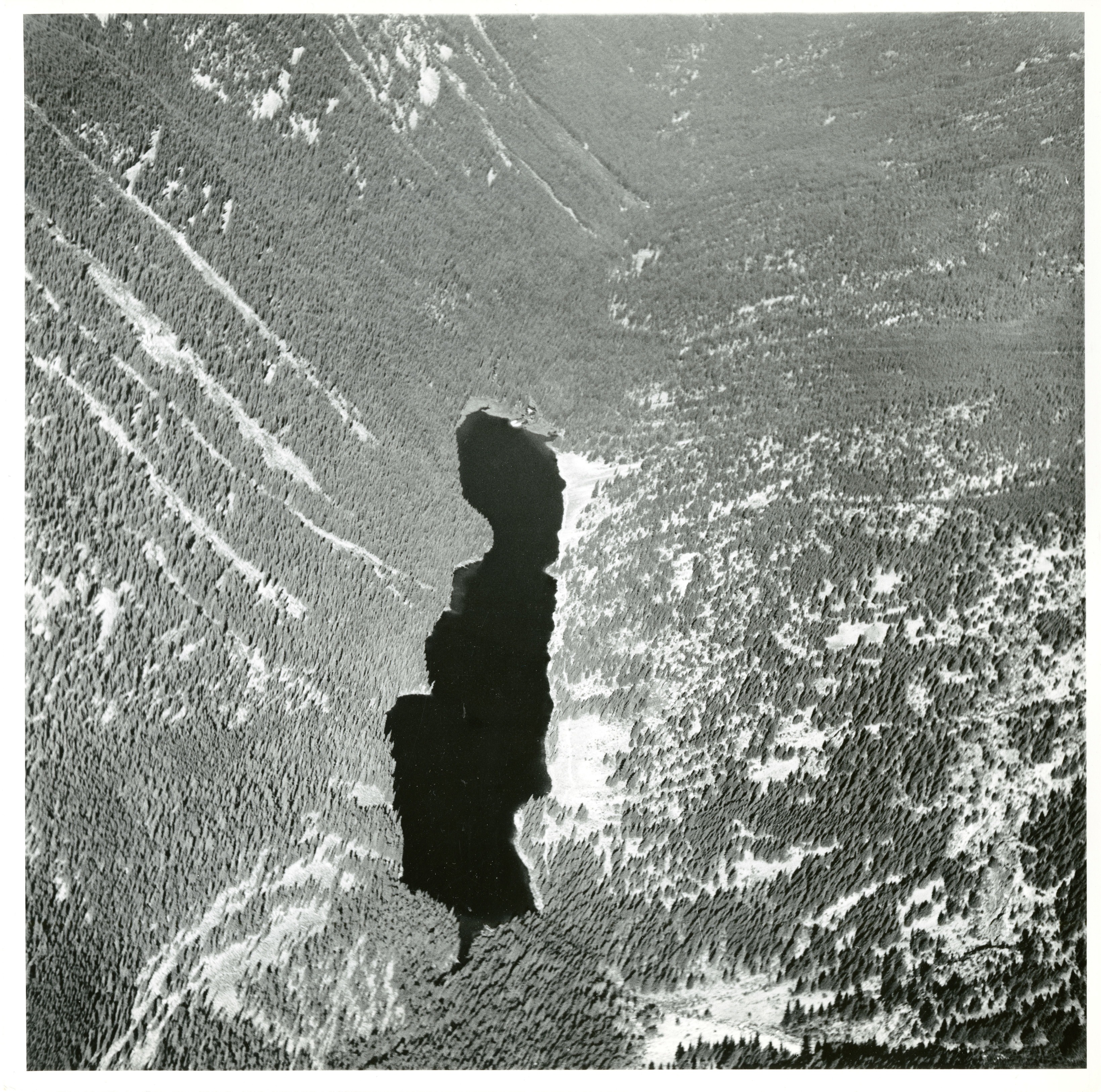 Aerial view of a lake at the bottom of a valley, surrounded by coniferous trees.