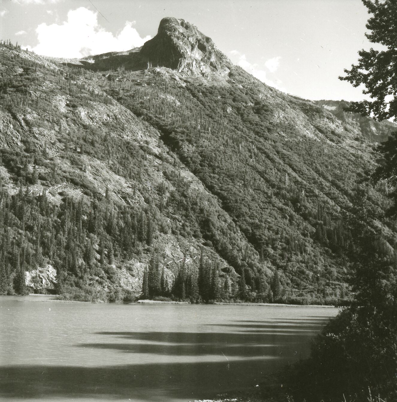 A forested mountainside behind a calm lake.