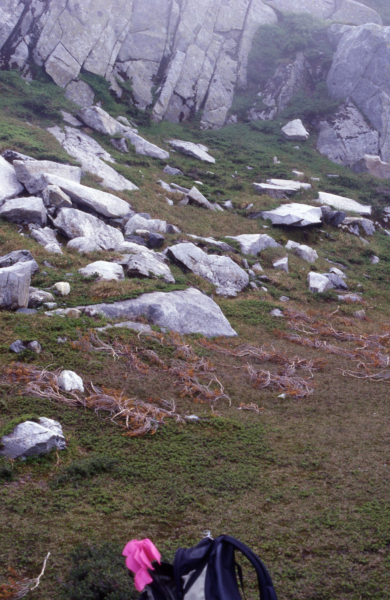 A rocky hillside in front of a patchy meadow. Behind the hill are small rock cliffs. In the foreground is the top of a backpack.