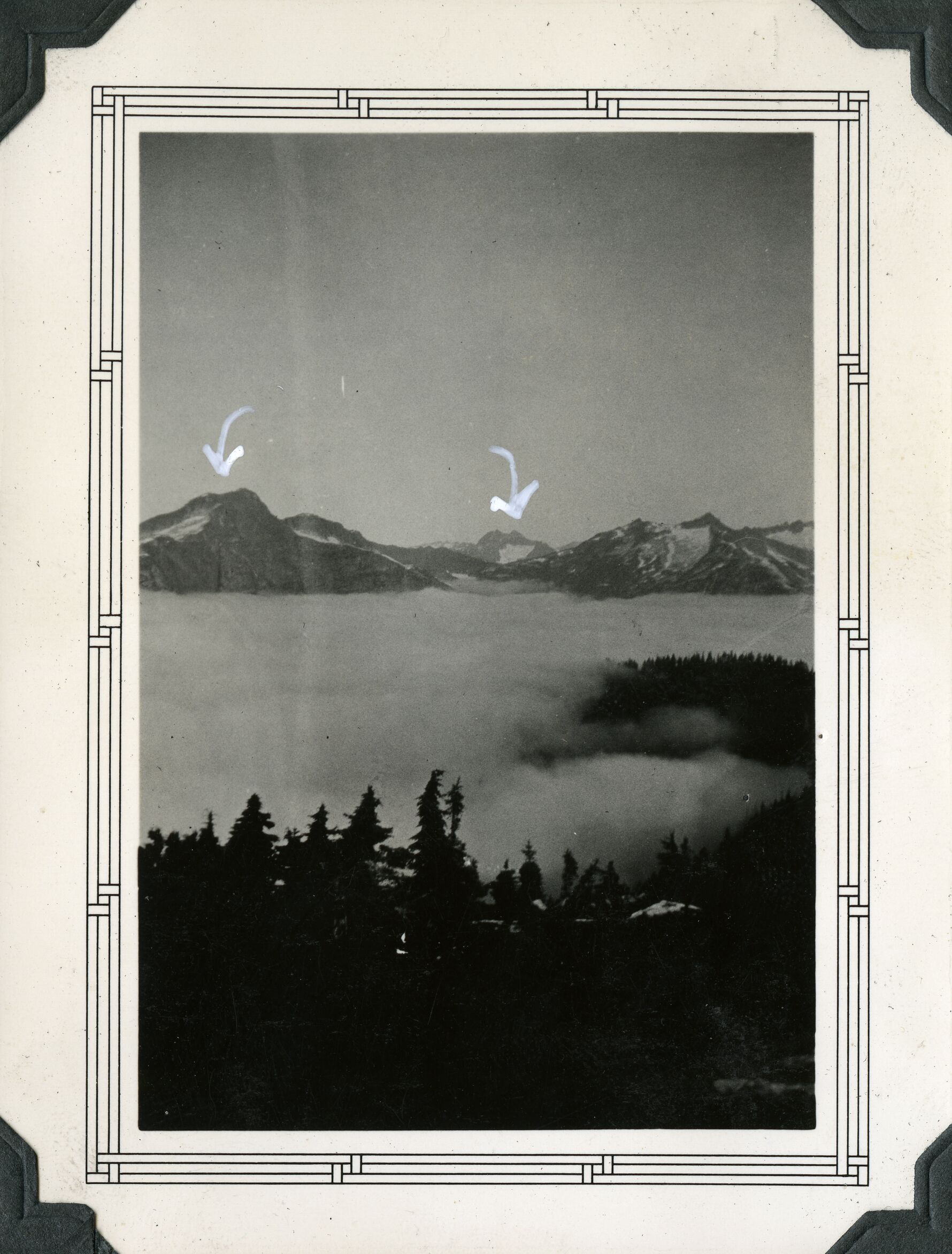 Conifer trees in the foreground with heavy fog layer and mountain peaks in the background.