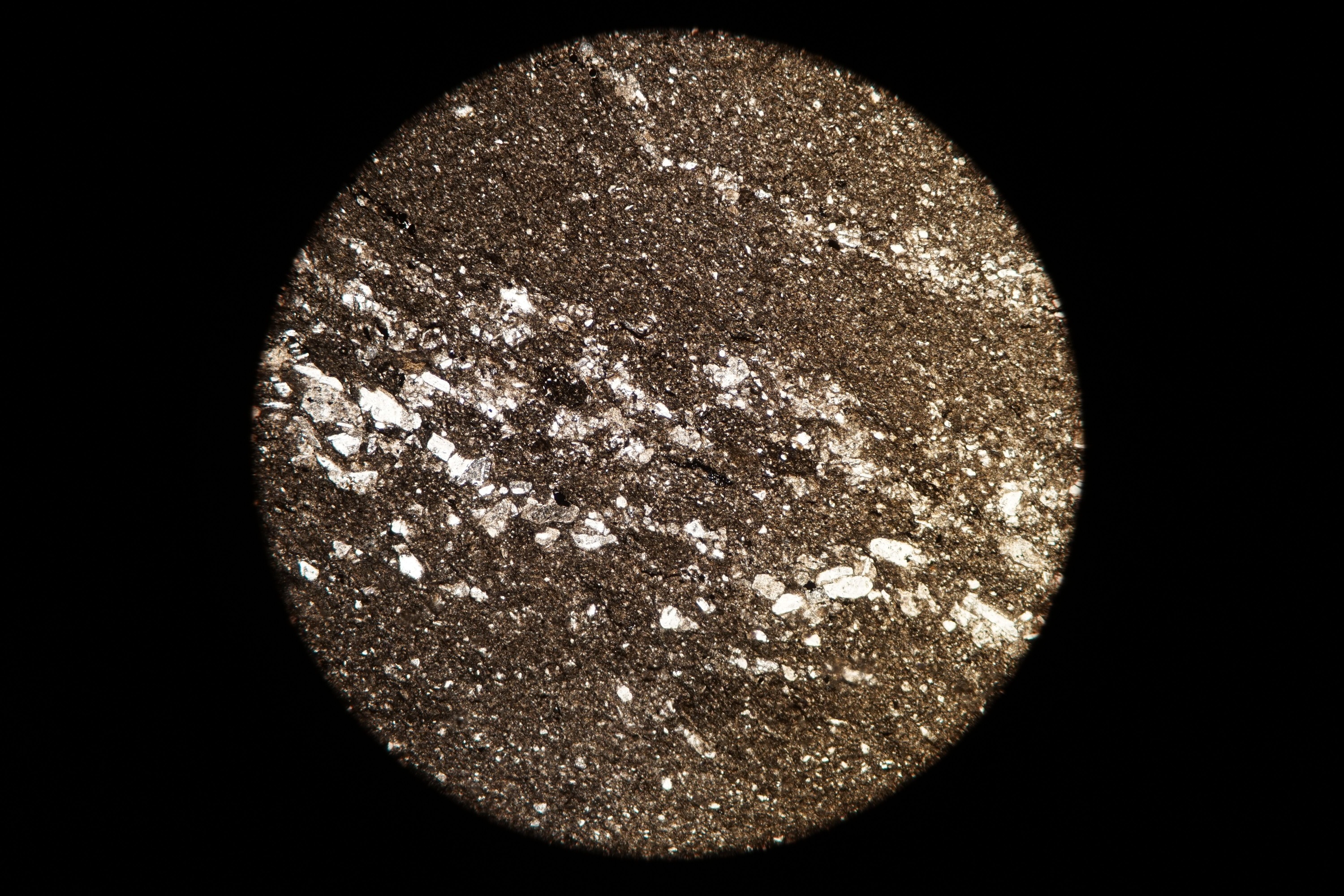 Circular microscopic image of rock structure.