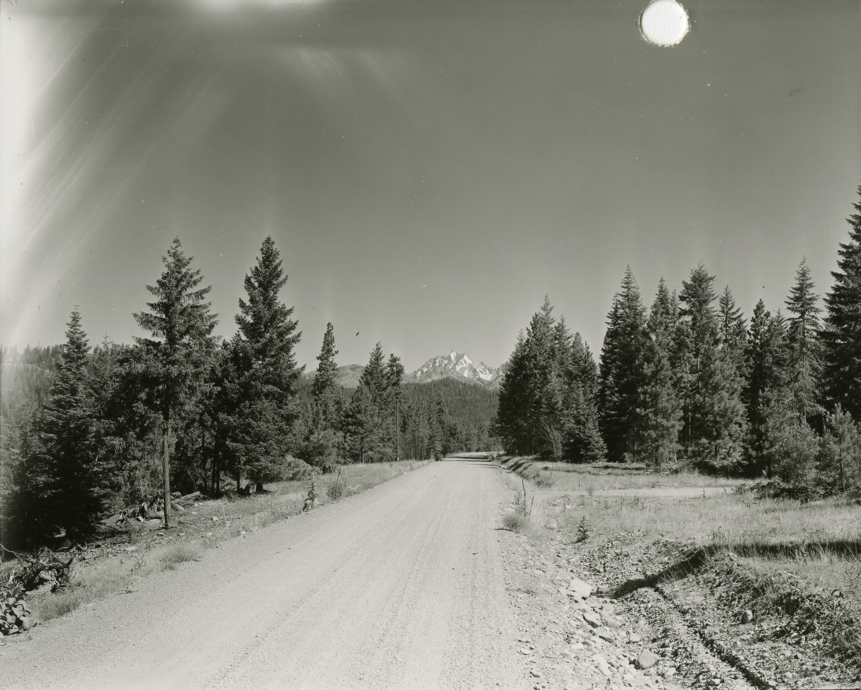 A dirt road curving through a flat, wooded area.