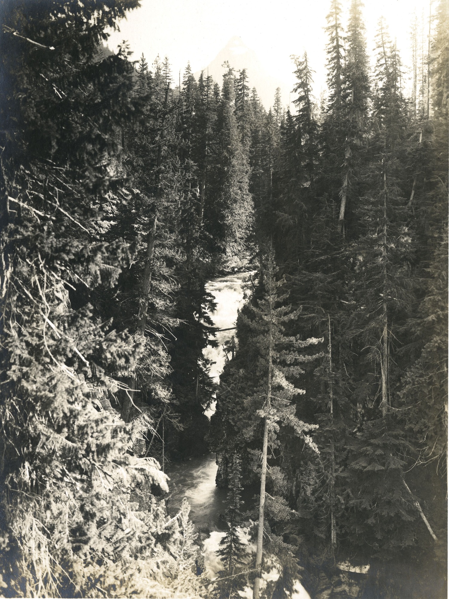 A view downstream of the lower Cascade River.