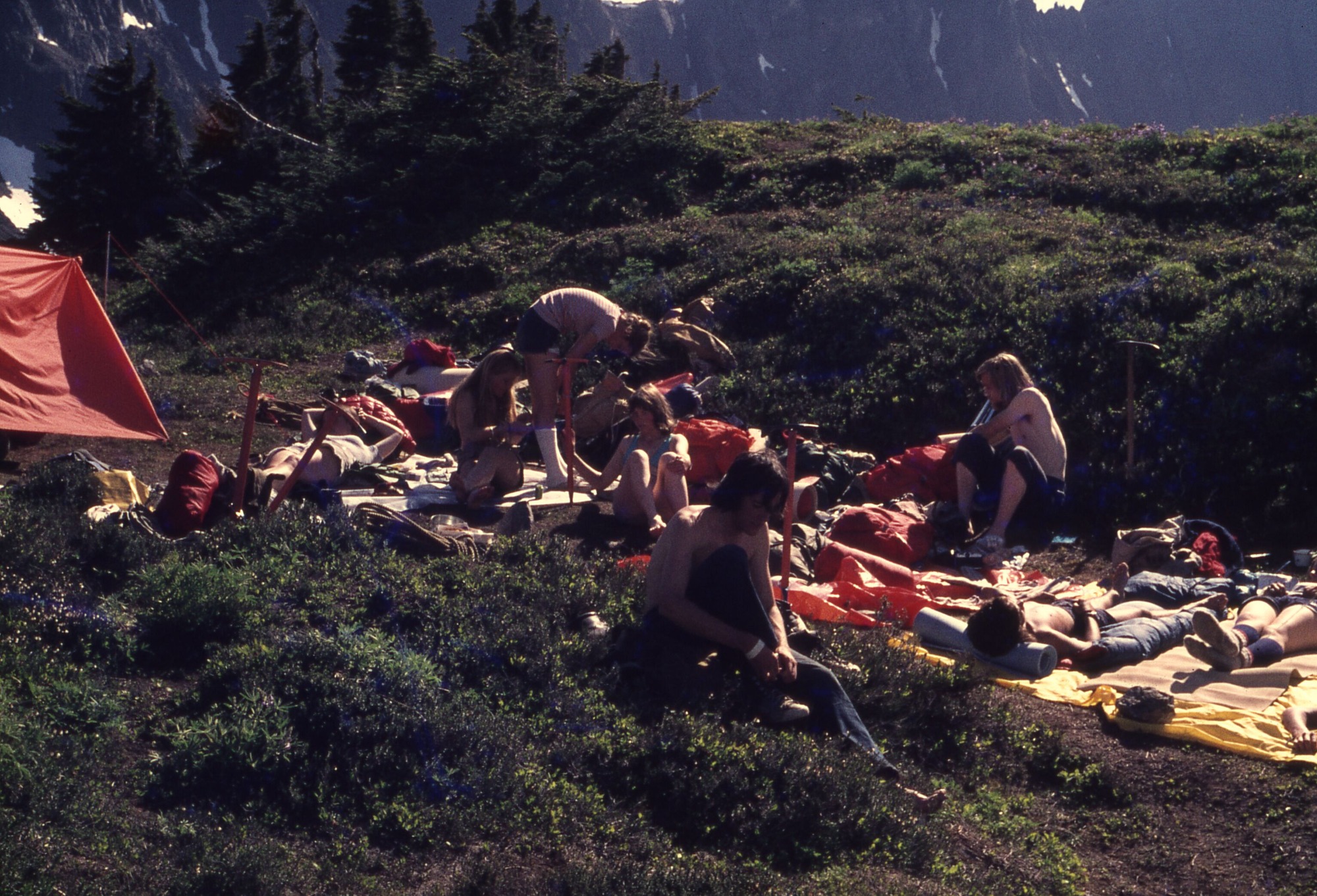 A group of campers resting next to a tent on the side of a hill in a meadow of wildflowers, shrubs, grasses, and a crops of trees in the top left corner. In the distance are mountainsides.