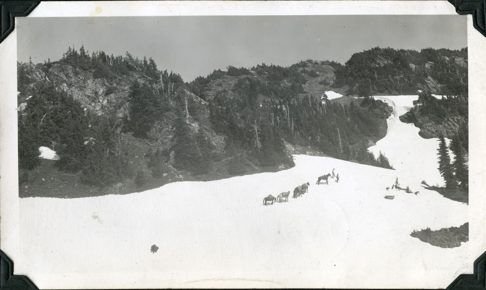 Two men and five loaded mules on a snowy slope, surrounded by rocky hills.
