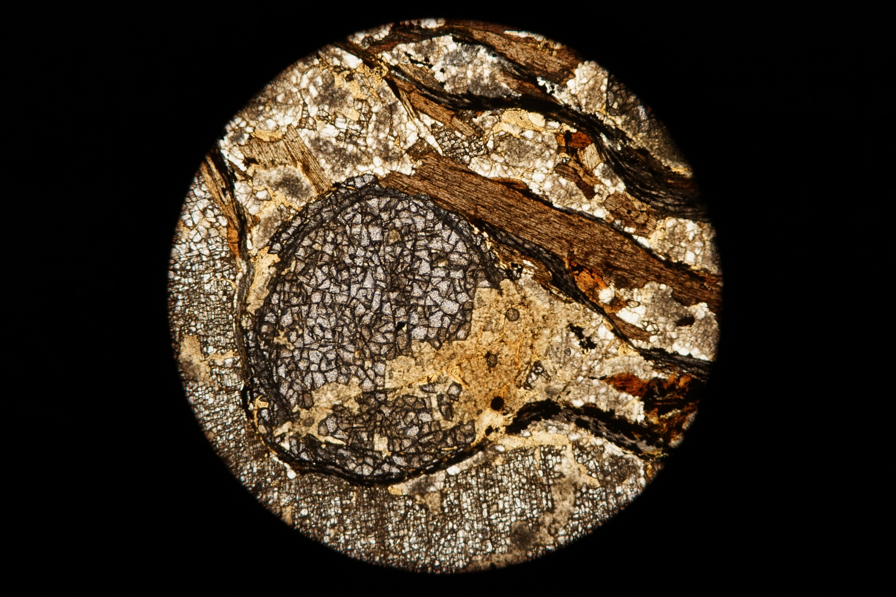 Circular microscopic image of rock structure.