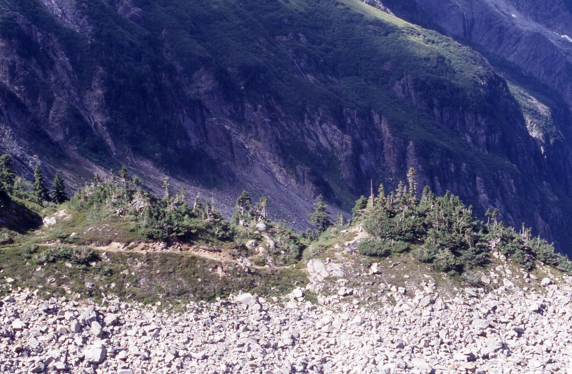 Rocky ditch beyond which is a trail through hills of pines with grassy mountain slopes in the distance.