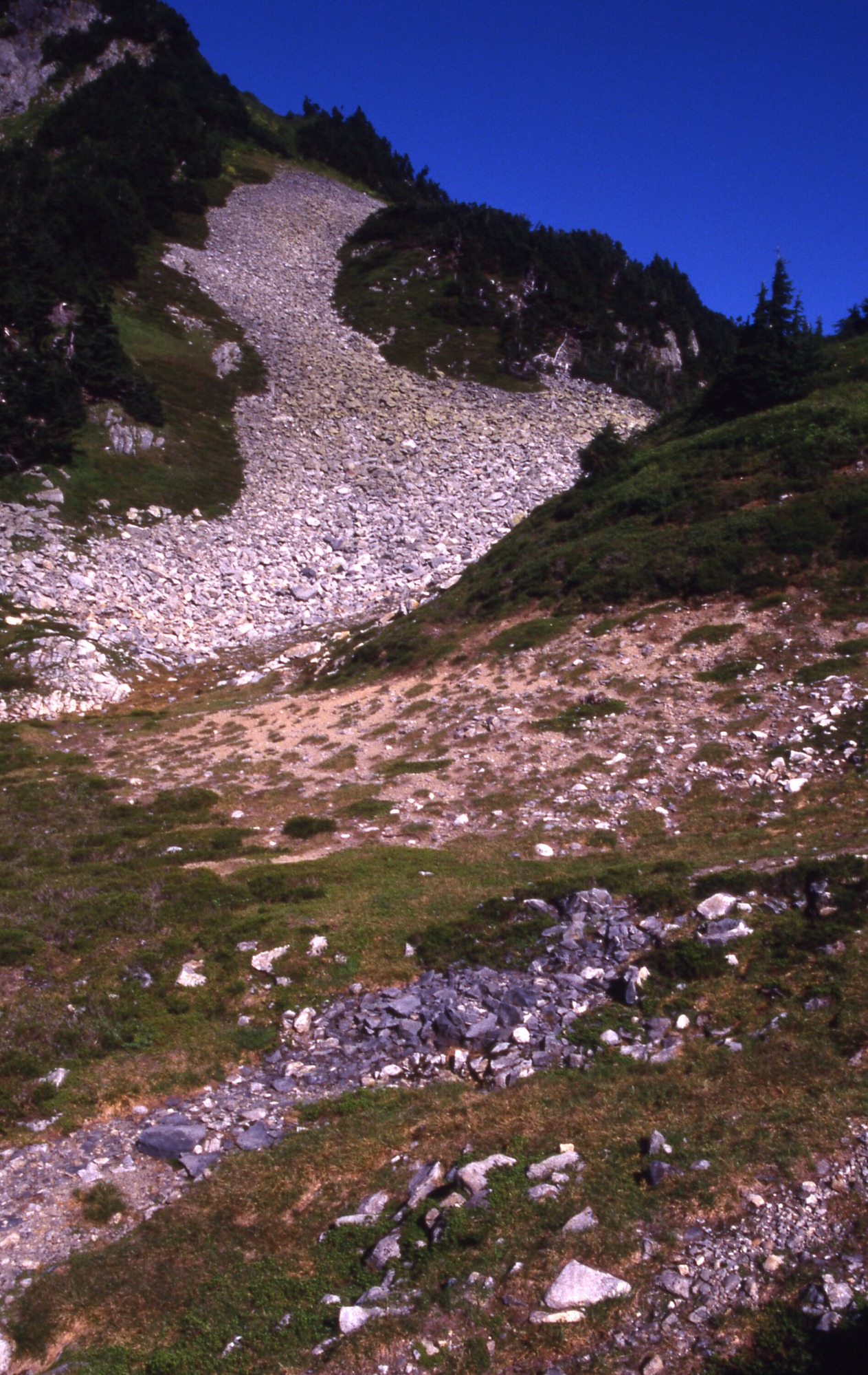 A rocky slope surrounded by trees and grass that comes down onto a grassy hill with bare dirt patches and more rocks.