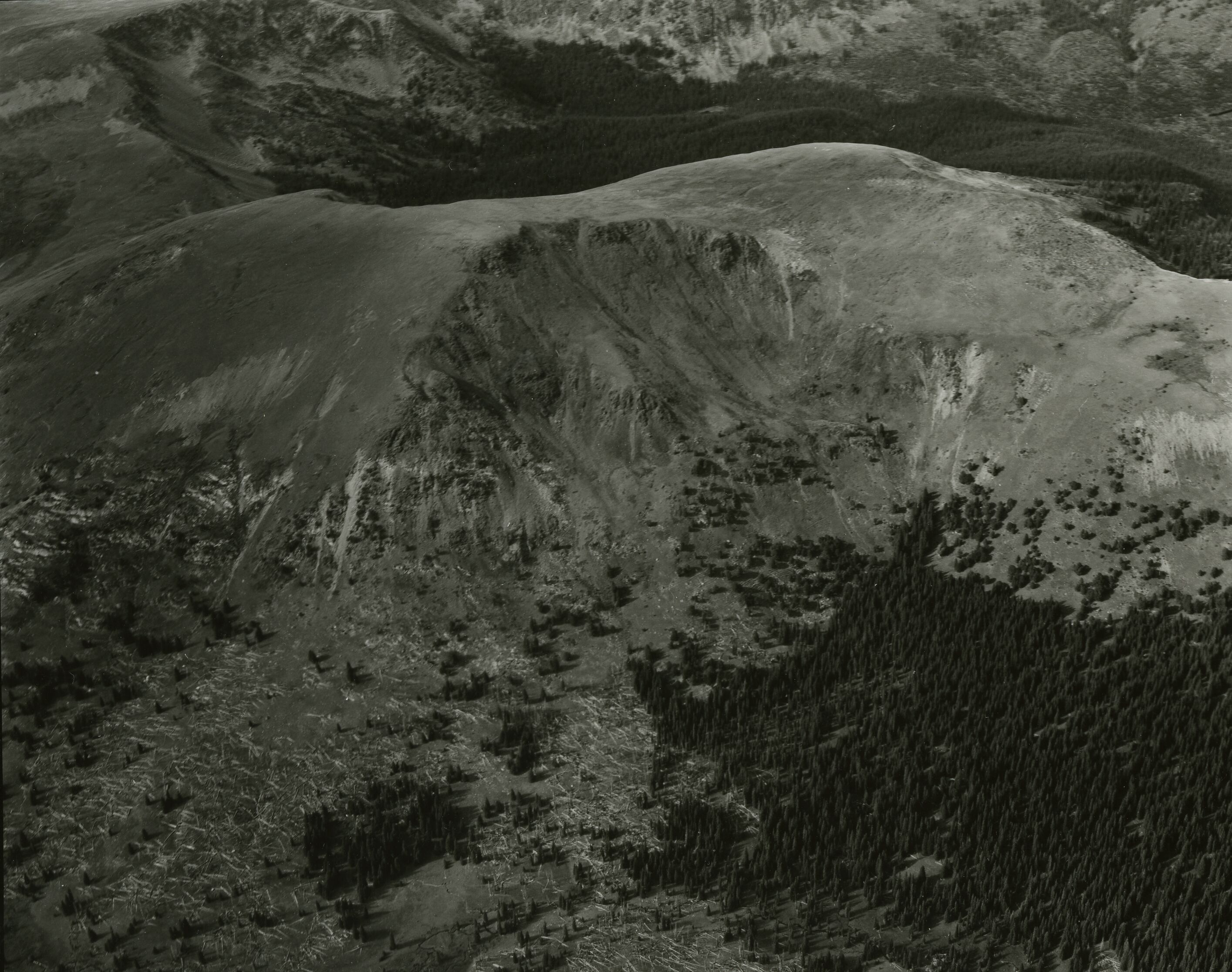 Grassy rolling hills with some forests.