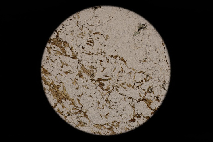 Circular microscopic image of rock structure.