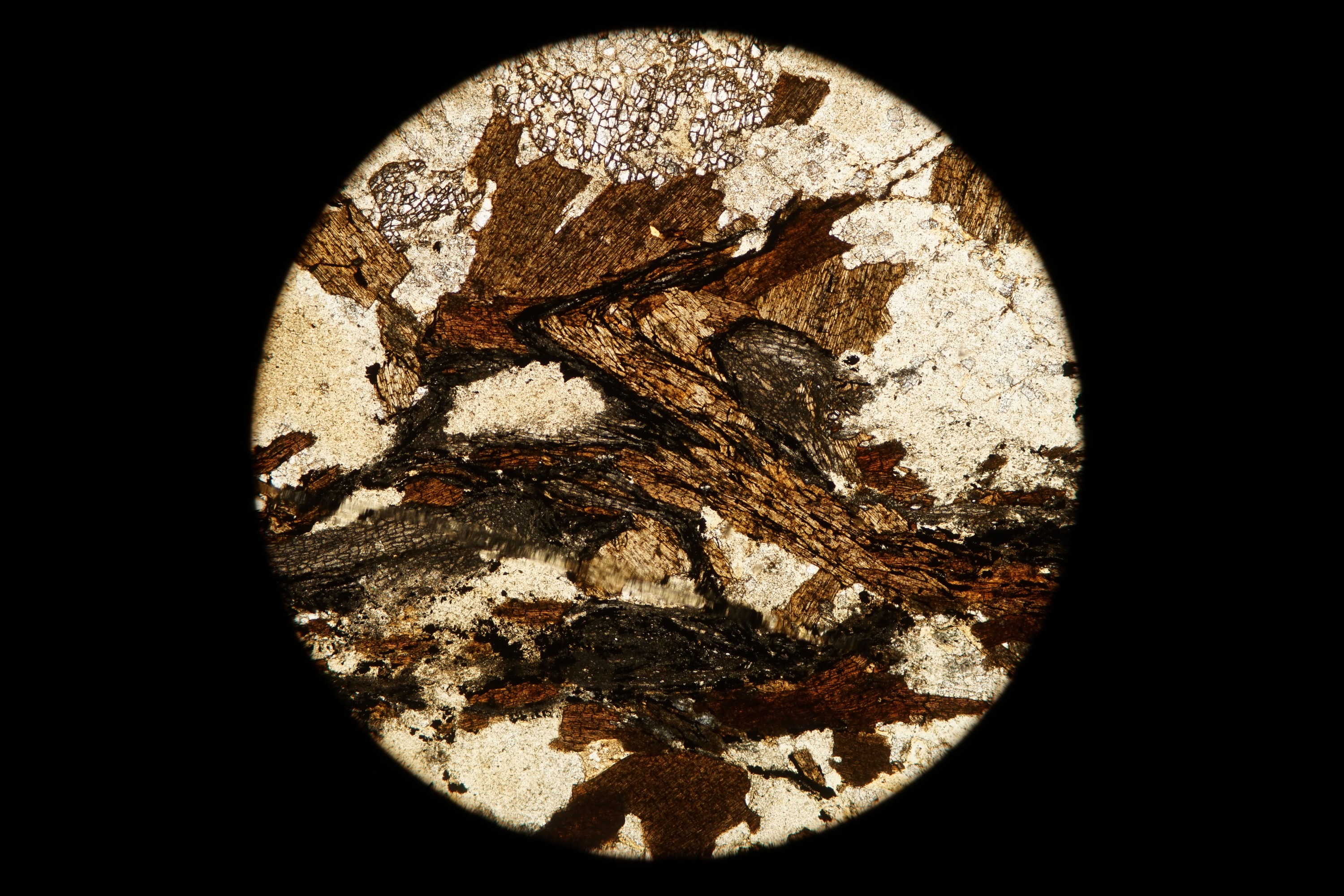 Circular microscopic image of rock structure.