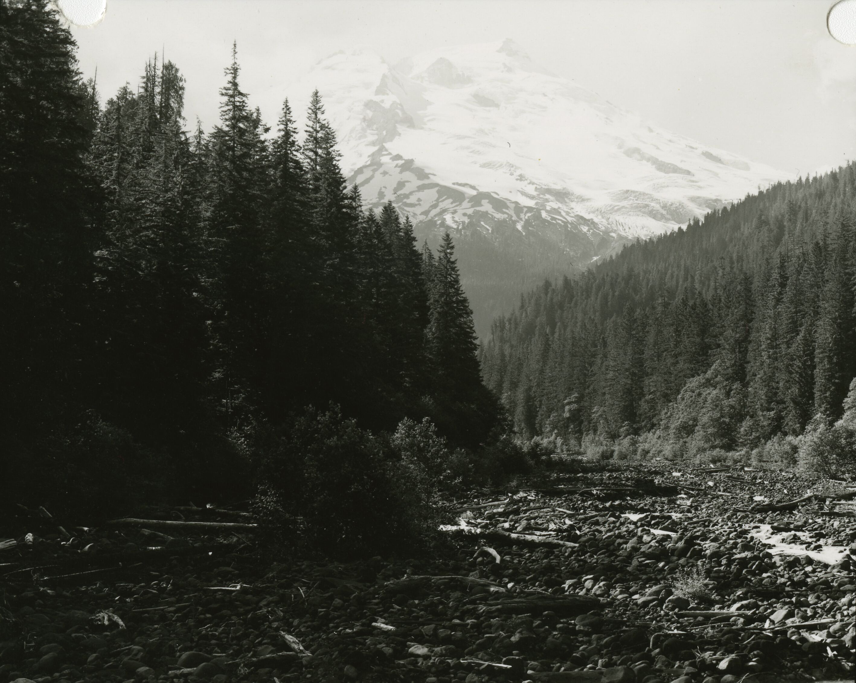 A glaciated mountain behind two forested hills. Rocky rubble with fallen trees in the foreground.