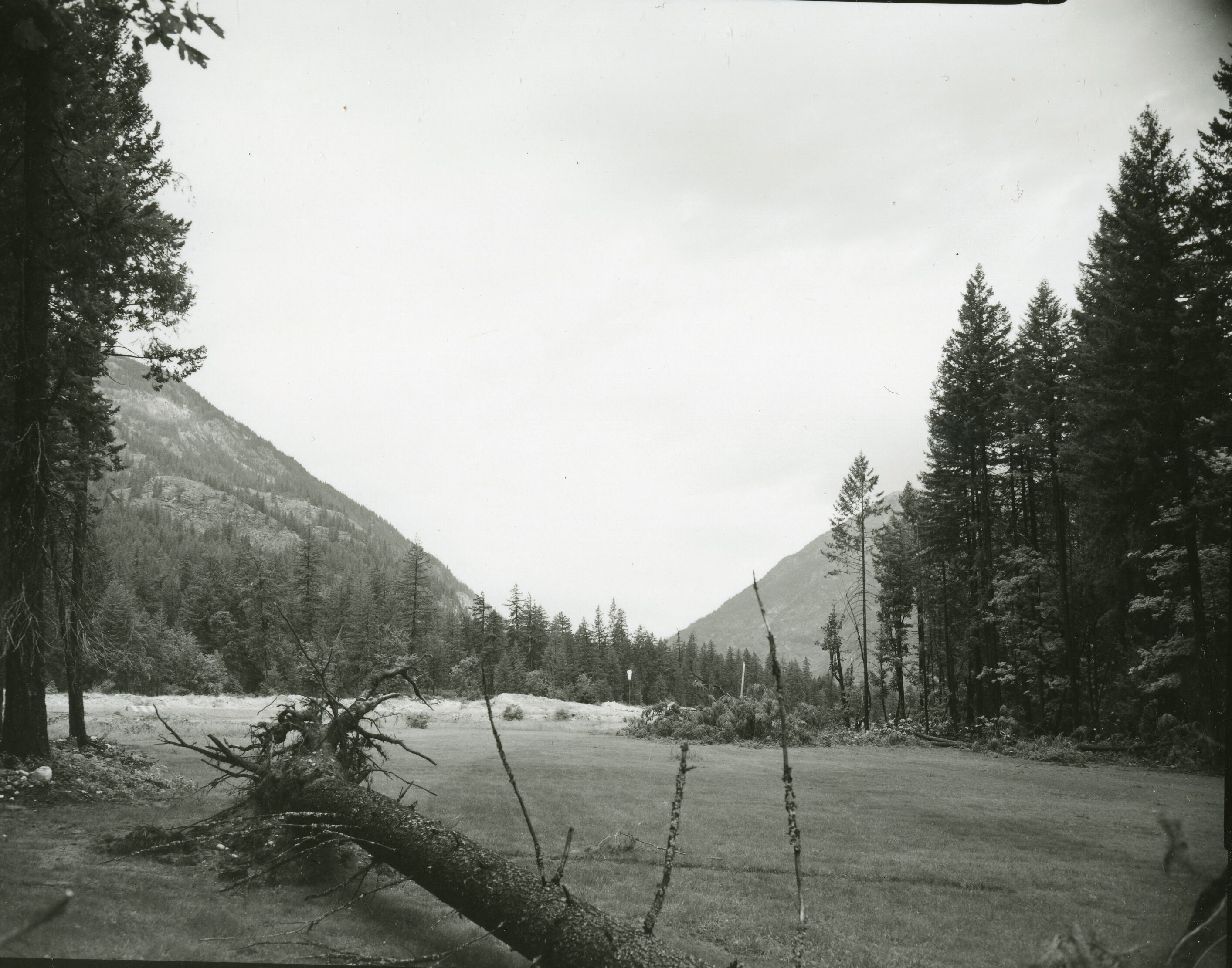 A cleared area in the middle of forest.