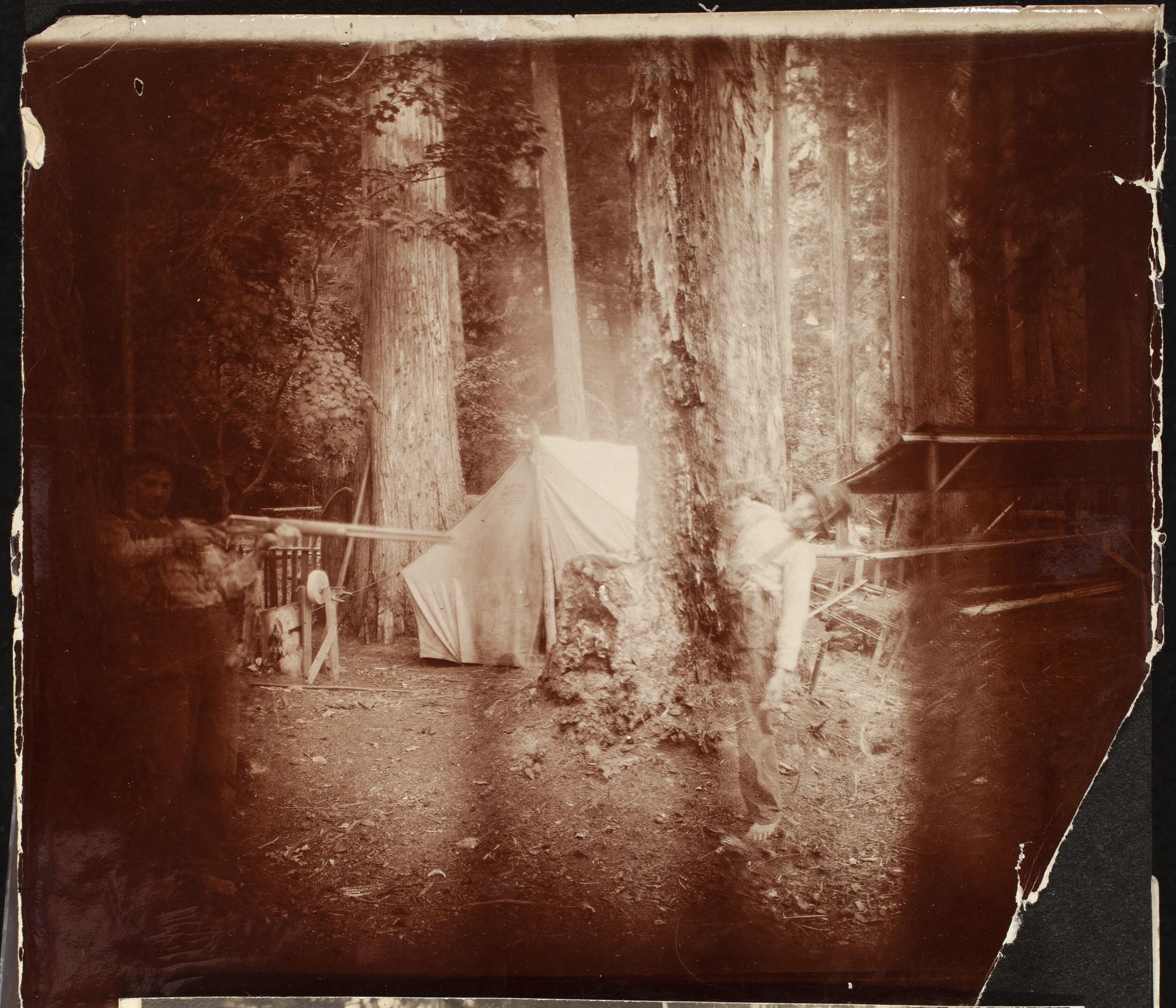 Two men standing in front of campsite among cedar trees.  One is holding a gun and the other is in motion.