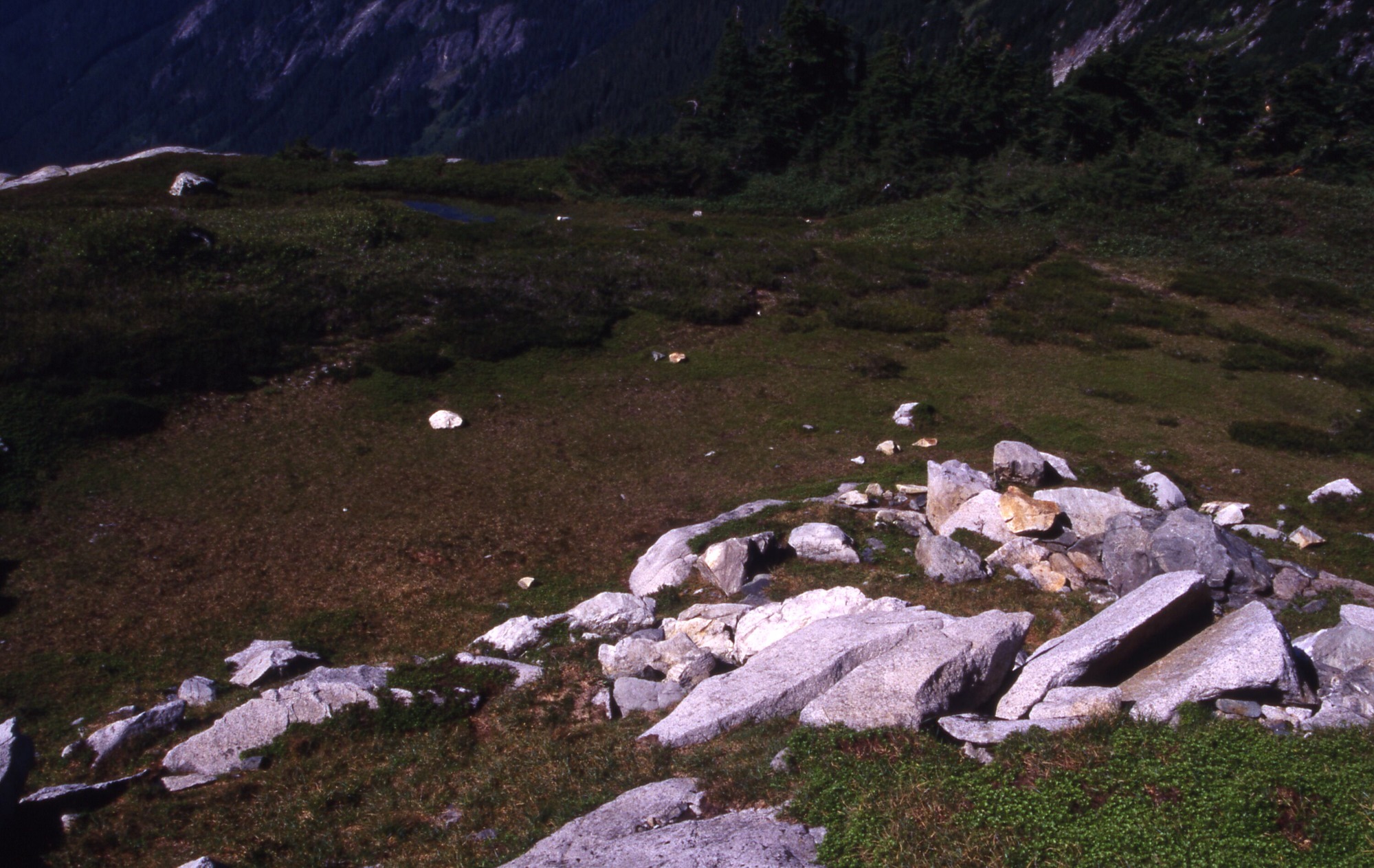 A rocky hillside in front of a patchy meadow. In the distance are mountain slopes.